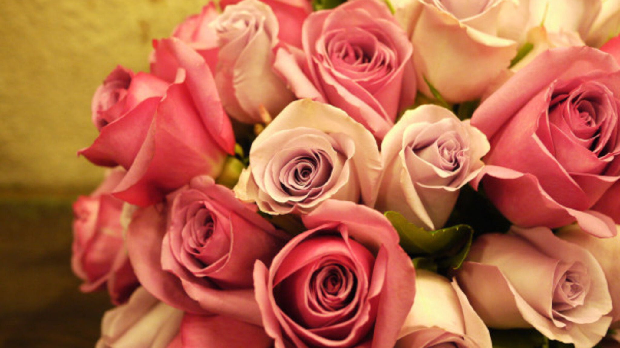 2048x1152 Pink Roses Bouquet 2048x1152 Resolution HD 4k ...