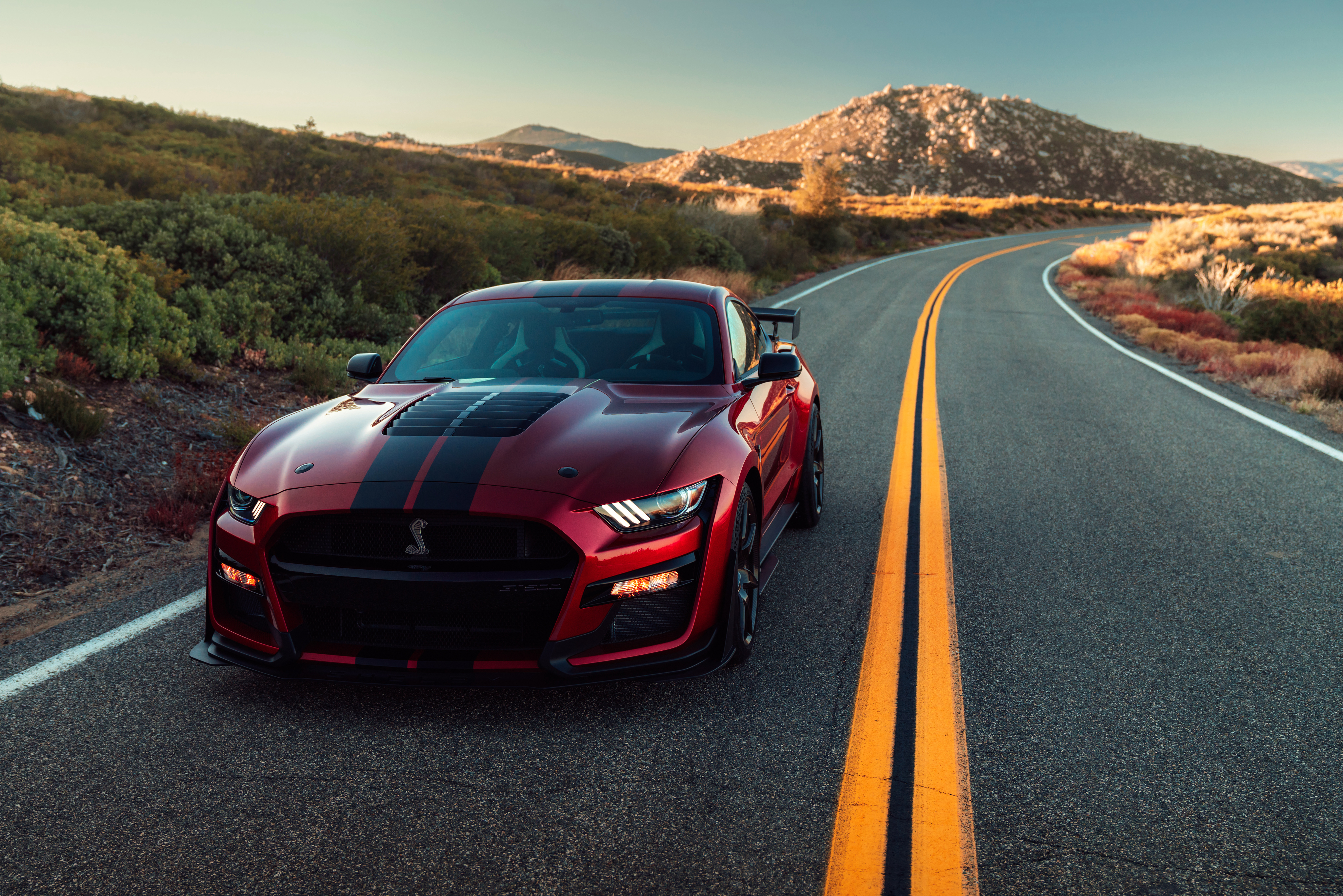 2020 Ford Mustang Shelby Gt500 4k Hd Cars 4k Wallpapers Images
