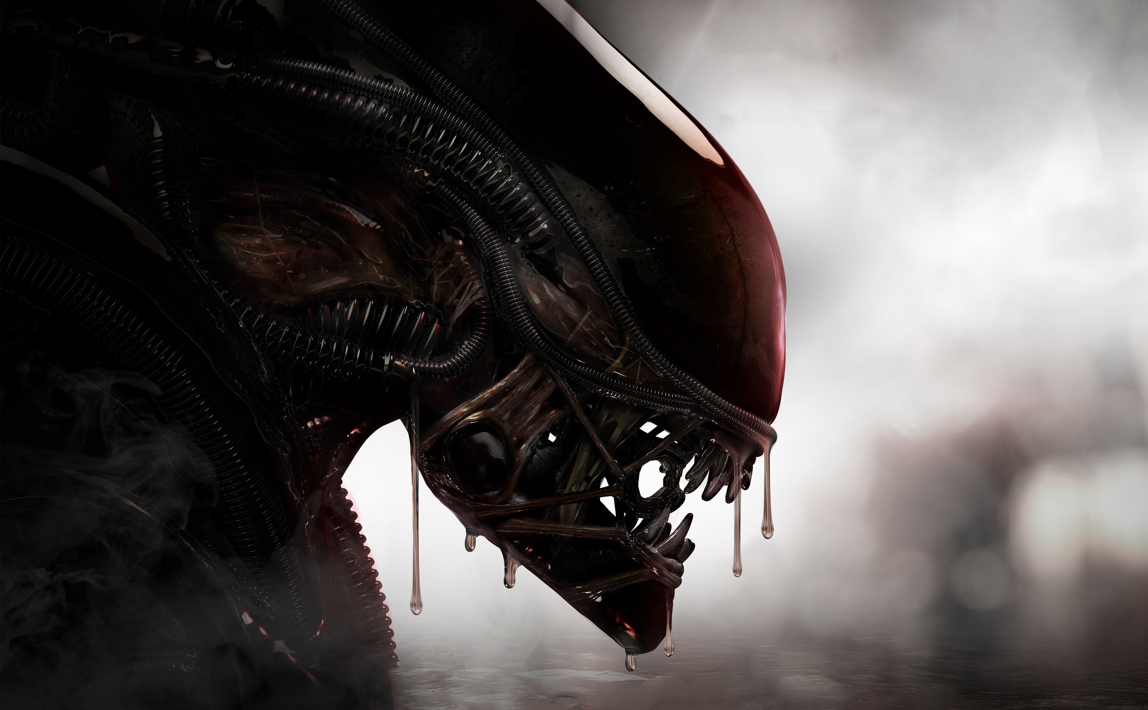 Aliens Xenomorph Creature 4k, HD Artist, 4k Wallpapers ...