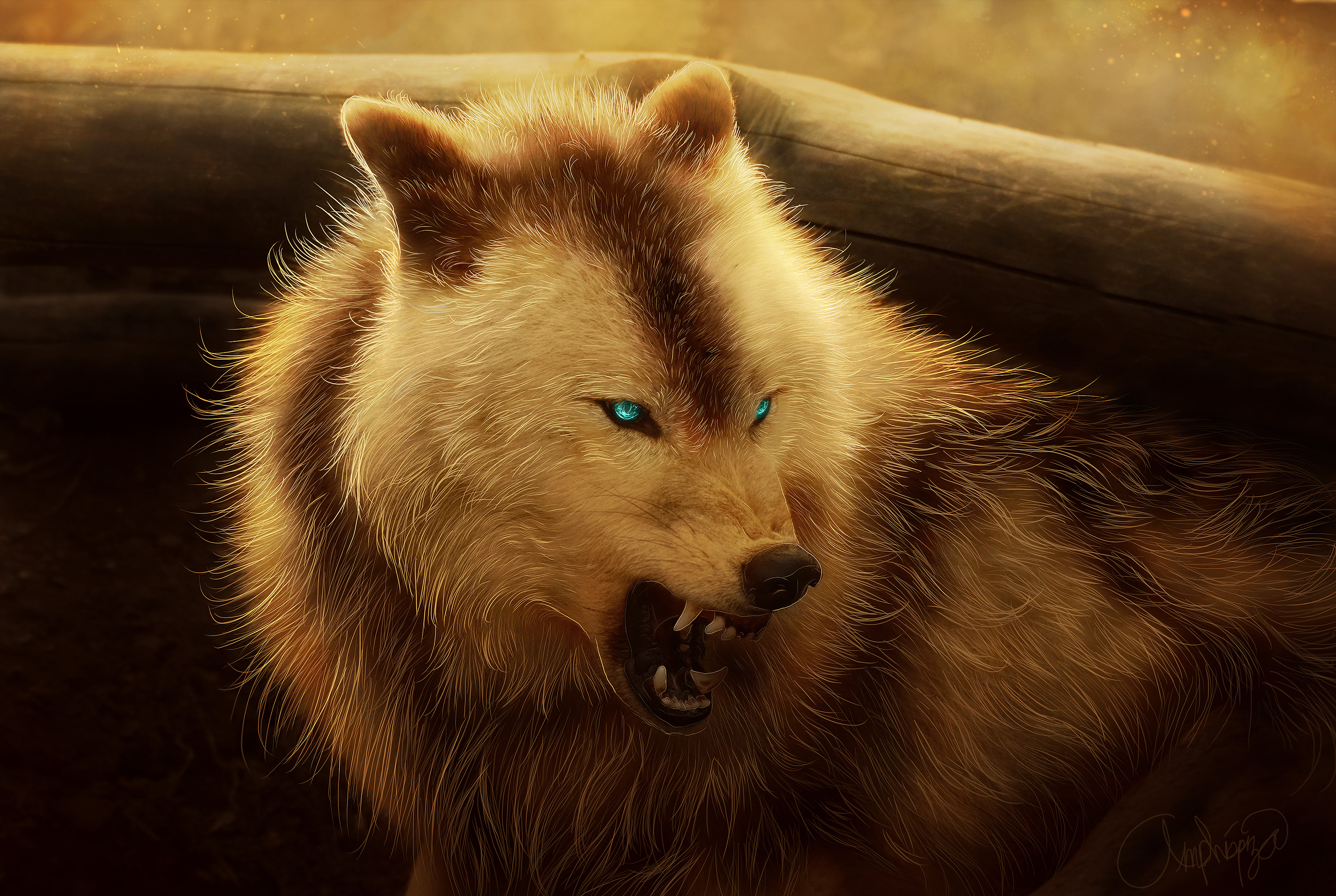 Angry Wolf 4k, HD Artist, 4k Wallpapers, Images, Backgrounds, Photos