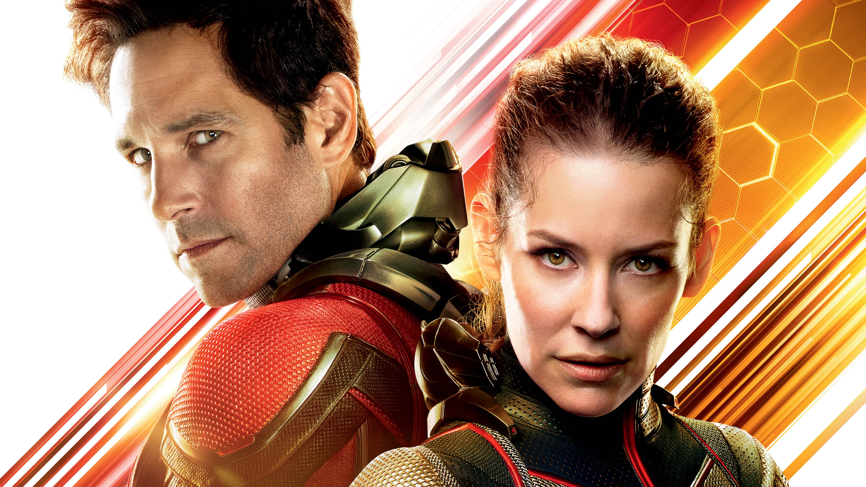 antman and wasp