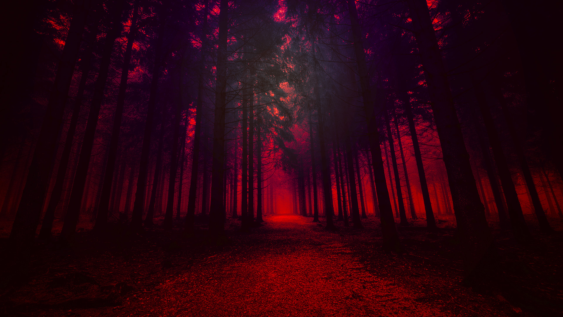 artistic red forest 23