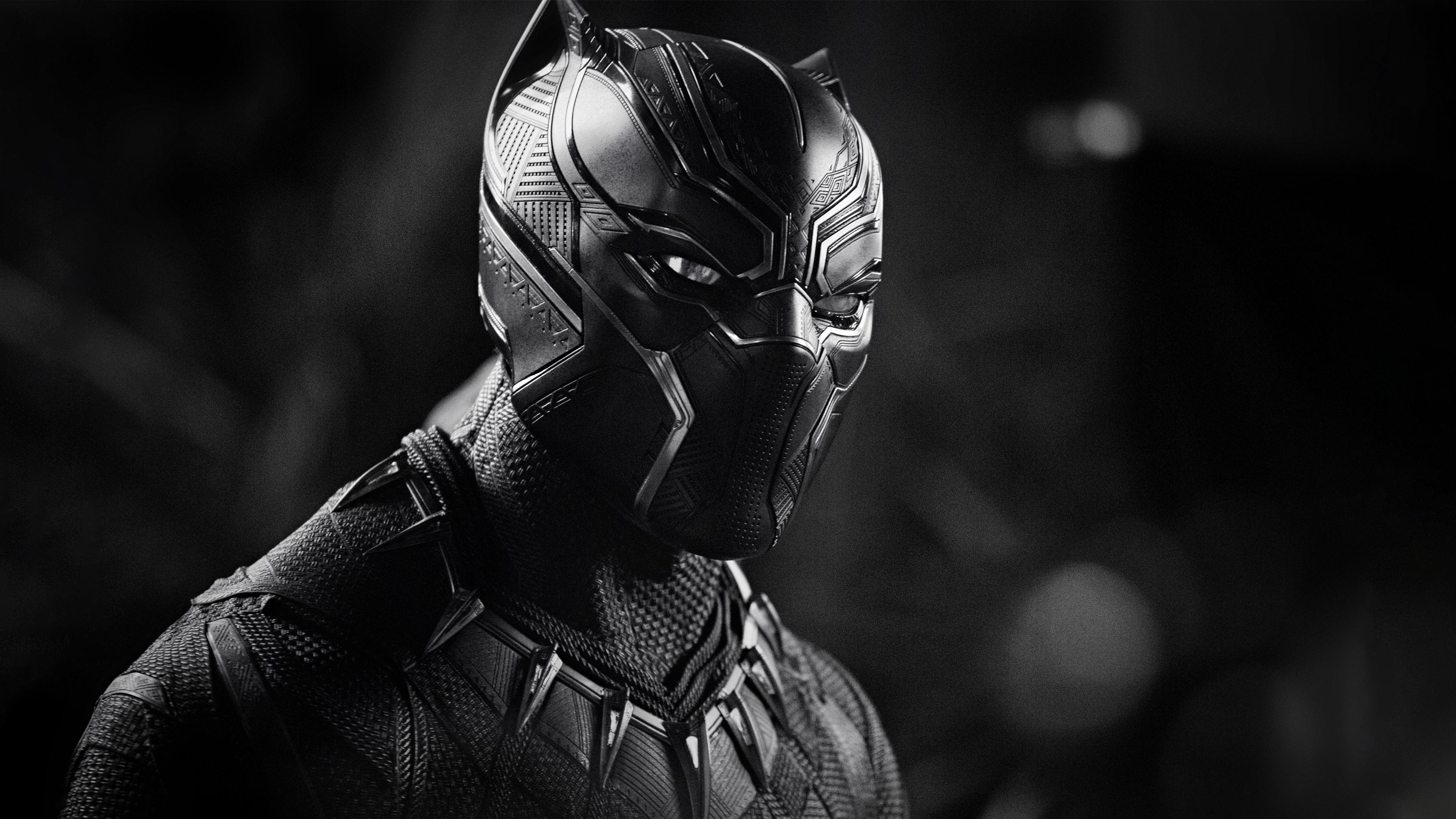 Black Panther Monochrome 4k, HD Movies, 4k Wallpapers, Images
