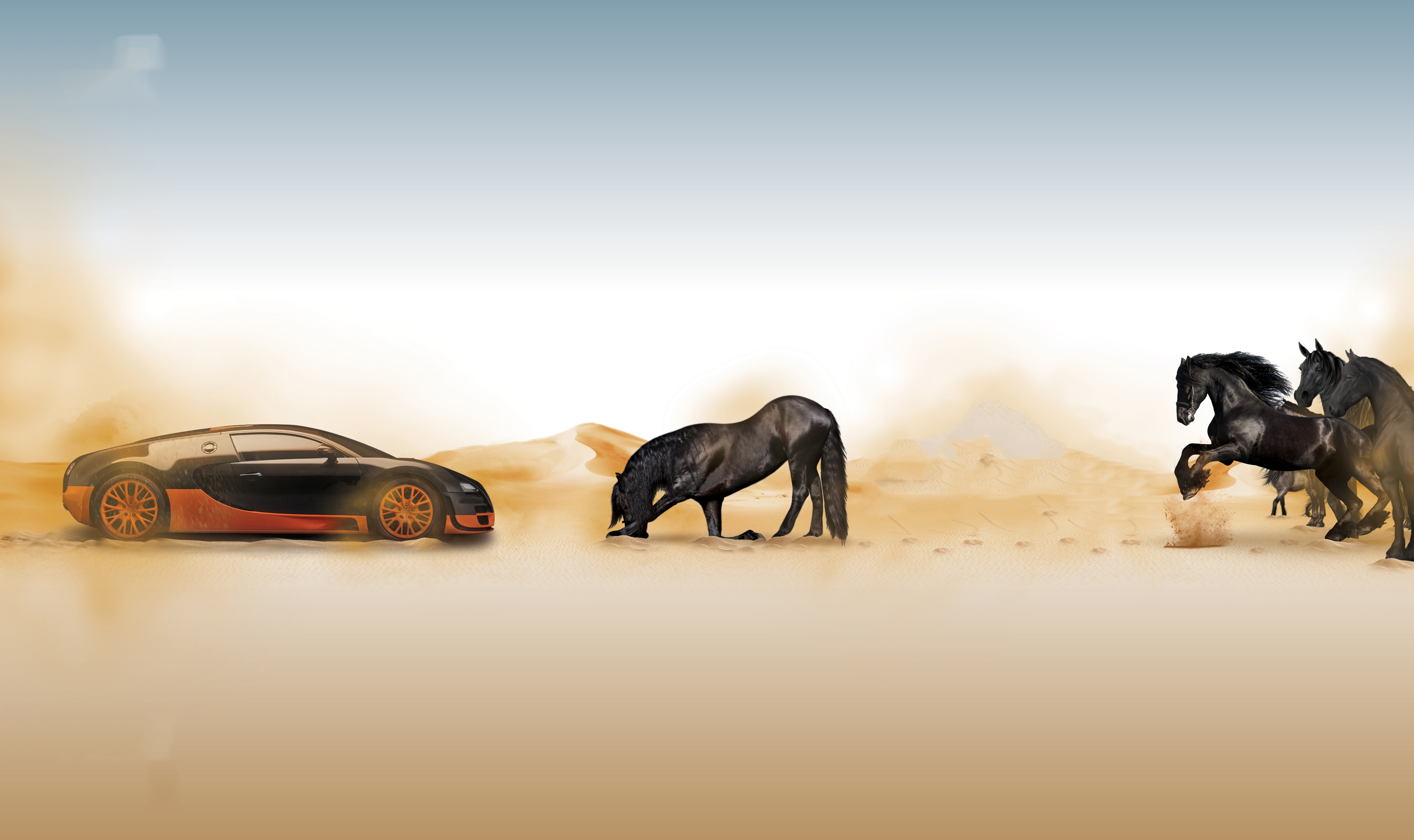 Bugatti Horse, HD Cars, 4k Wallpapers, Images, Backgrounds, Photos and
