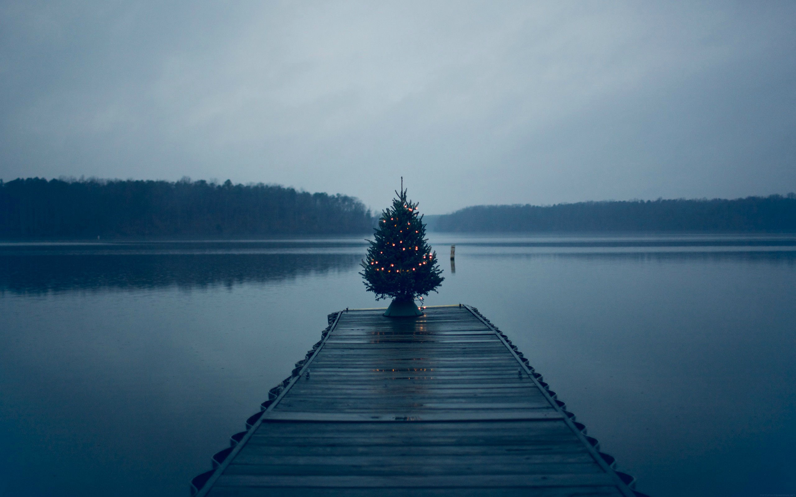 Christmas Tree On Pier, HD Nature, 4k Wallpapers, Images, Backgrounds