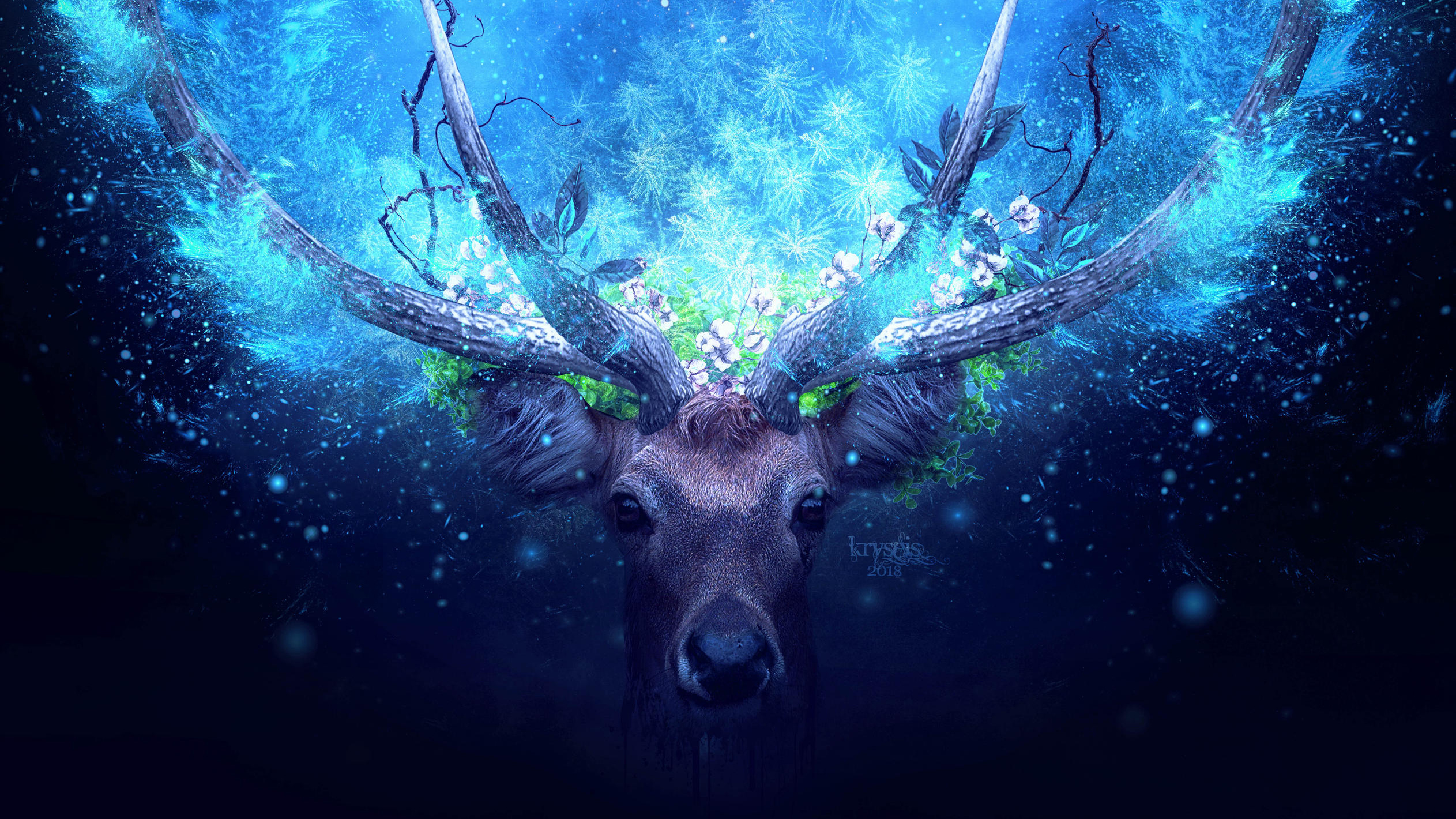 Deer Artistic Blue Manipulation, HD Artist, 4k Wallpapers, Images, Backgrounds, Photos and Pictures