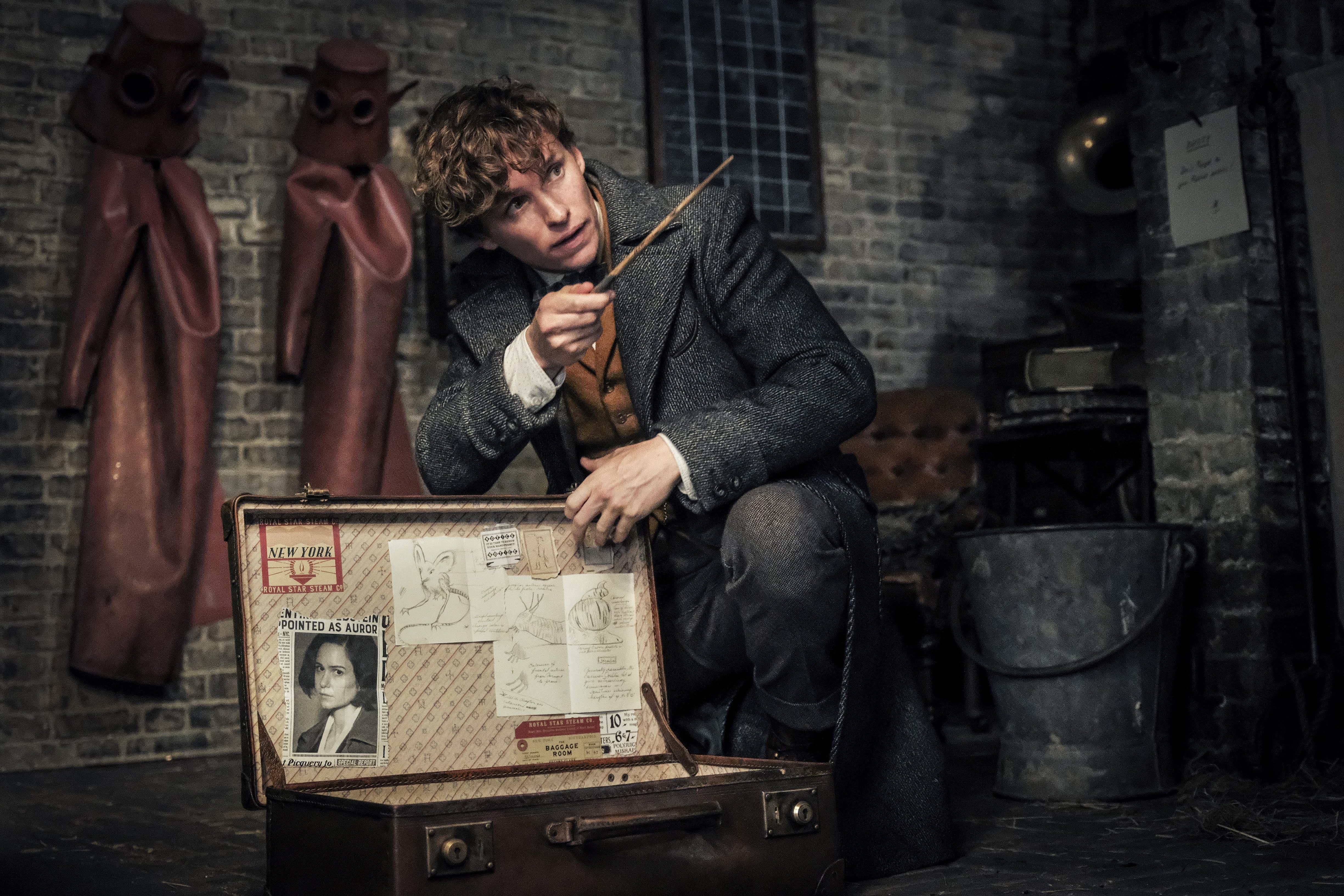 Eddie Redmayne As Newt Scamander In Fantastic Beasts The Crimes Of