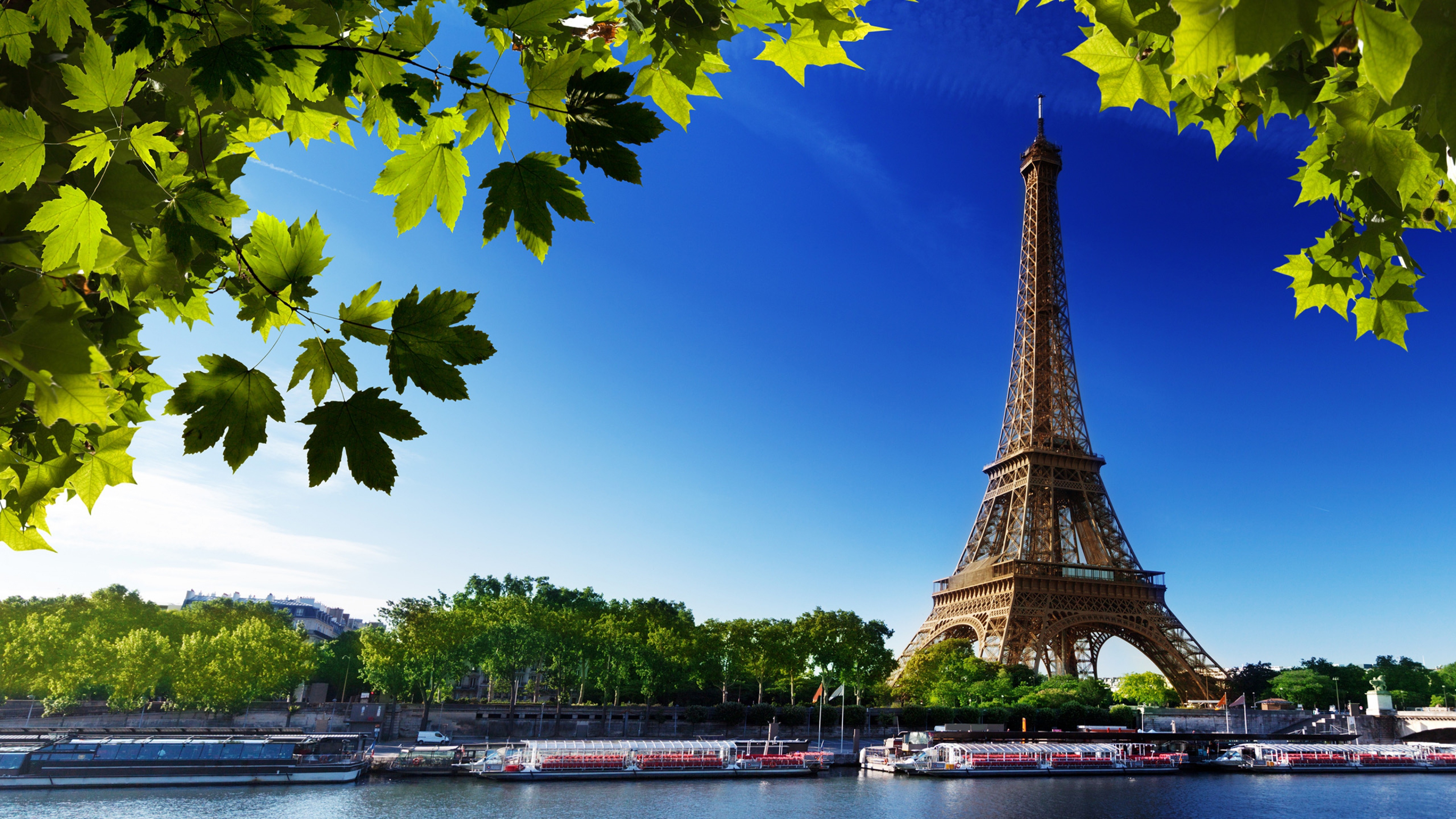 Eiffel Tower Paris 4k Hd World 4k Wallpapers Images Backgrounds