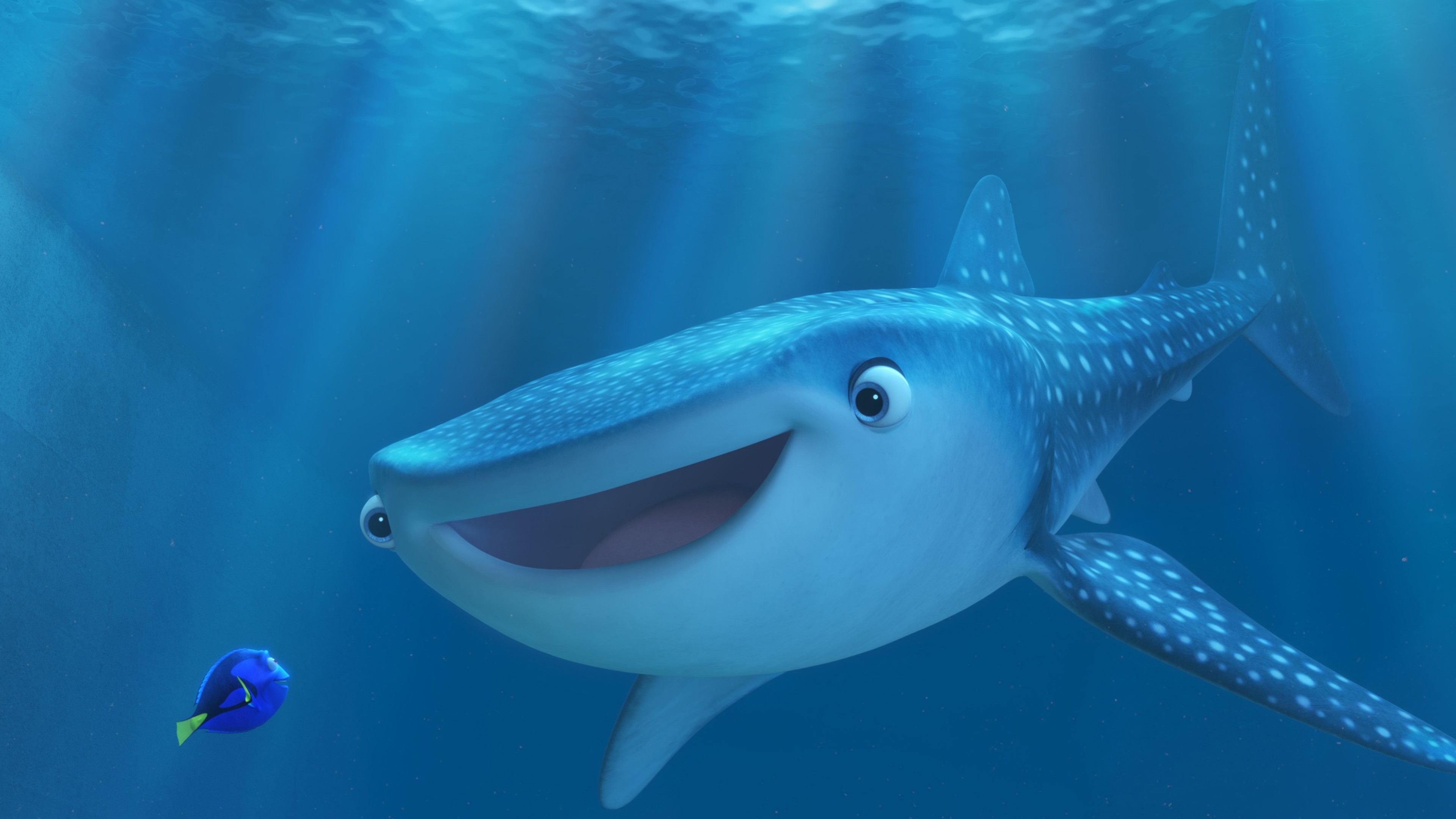 Finding Dory, HD Movies, 4k Wallpapers, Images, Backgrounds, Photos and