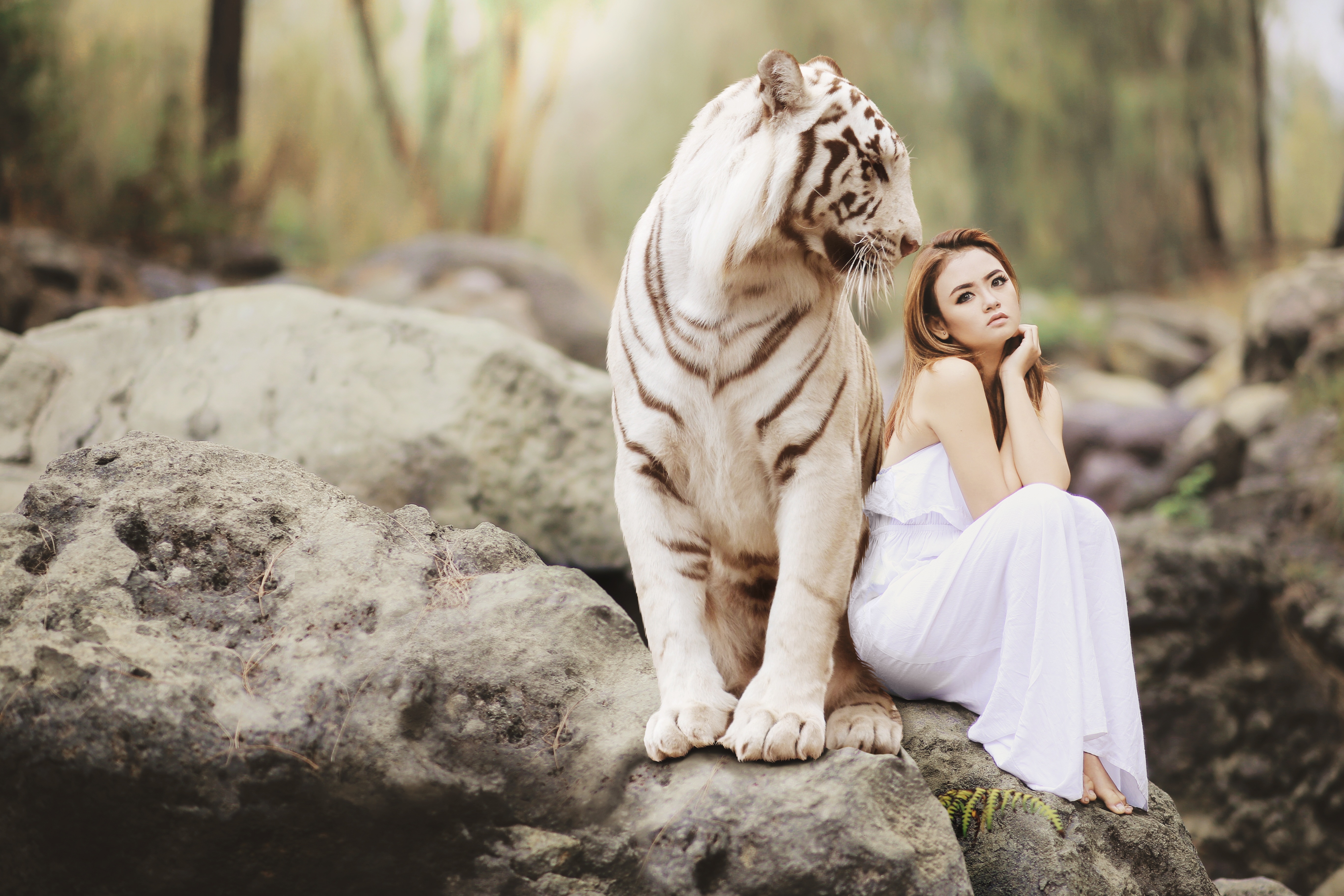 Girl With White Tiger 5k, HD Photography, 4k Wallpapers, Images