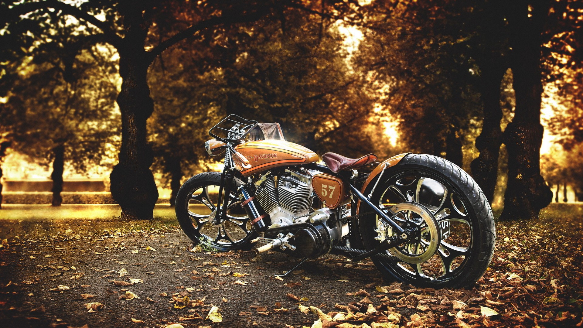Harley Davidson Motorcycle, HD Bikes, 4k Wallpapers, Images