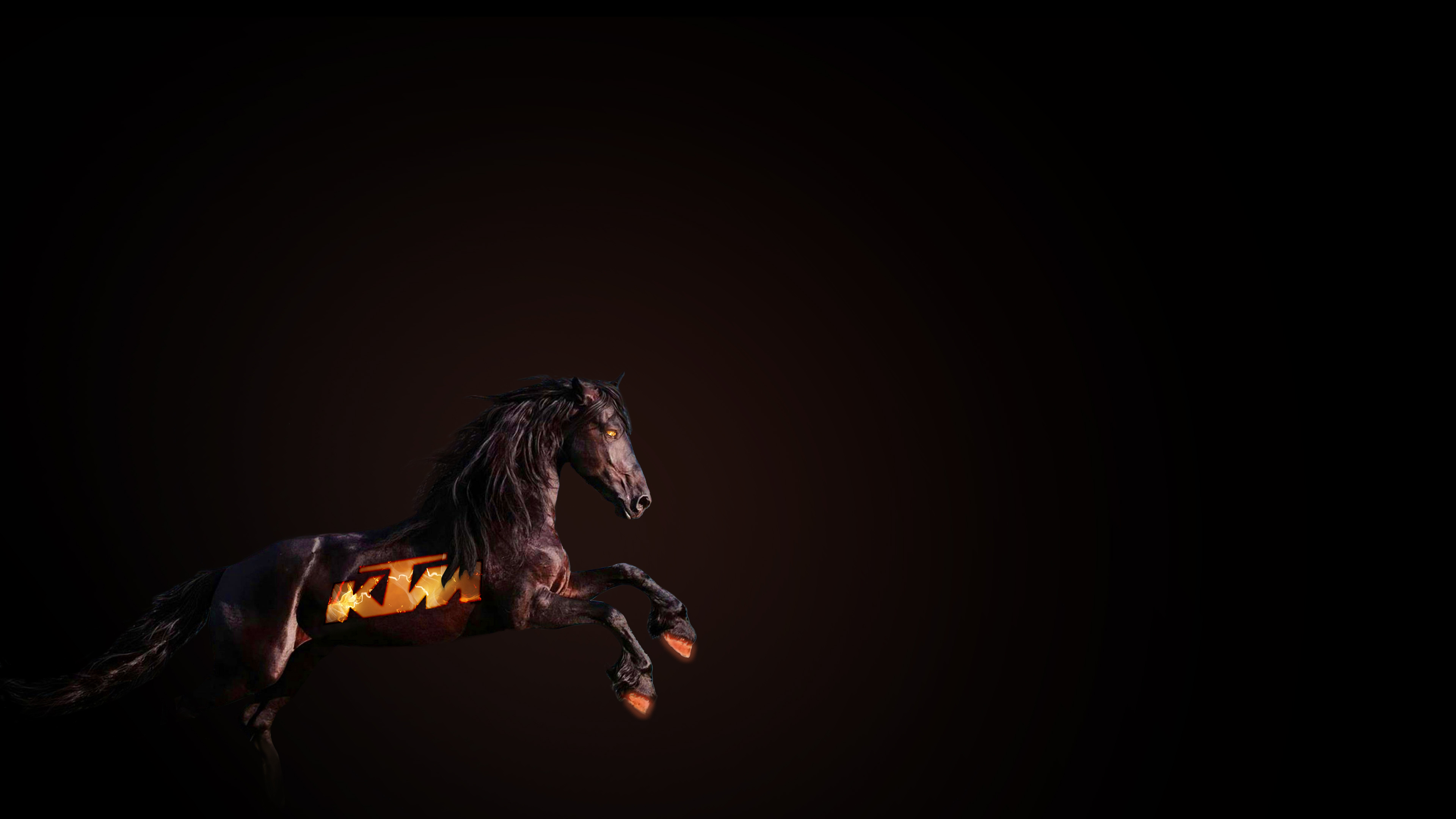 Ktm Horse, HD Funny, 4k Wallpapers, Images, Backgrounds ...