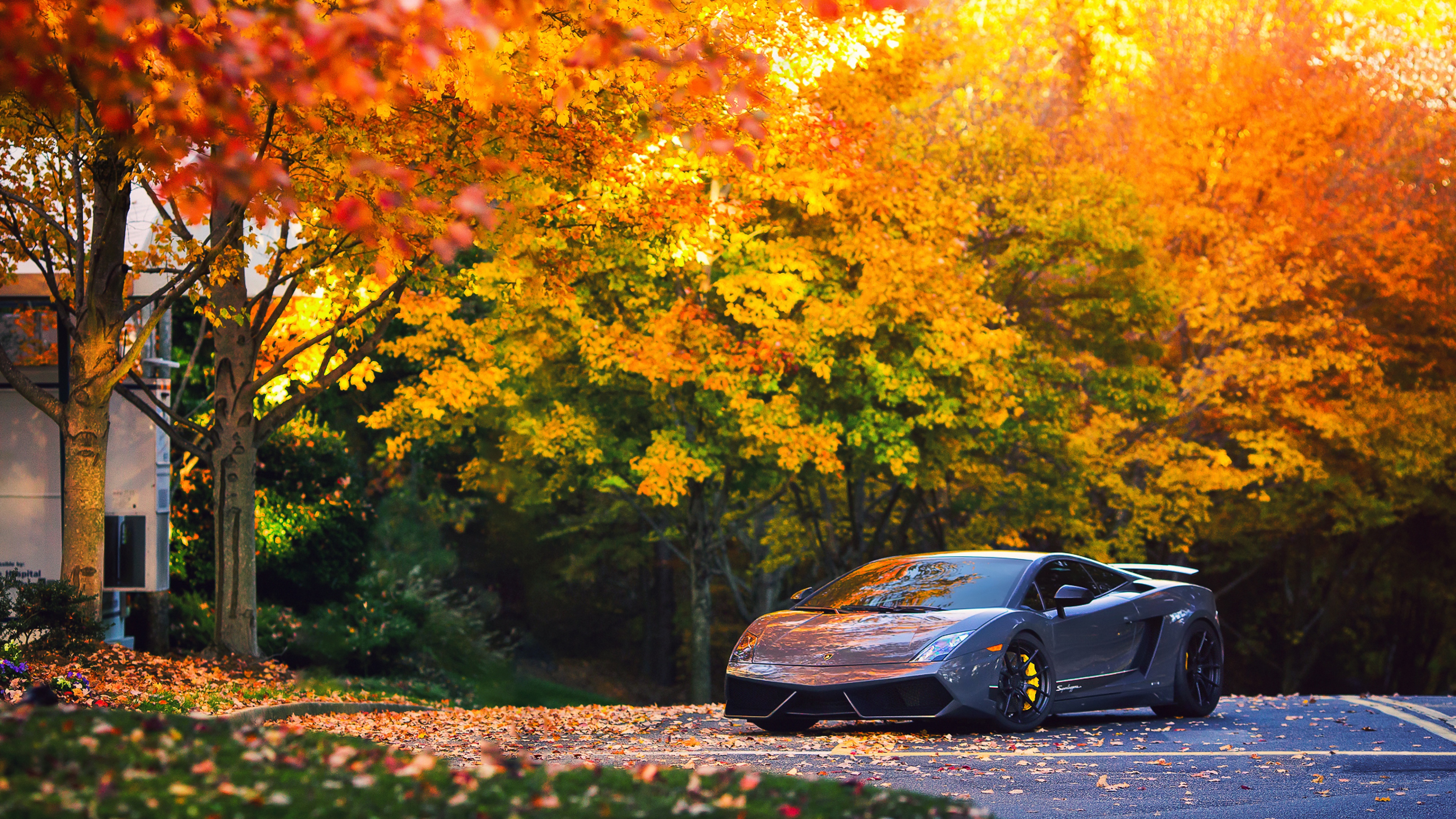 Lamborghini Autumn Gallardo, HD Cars, 4k Wallpapers ...