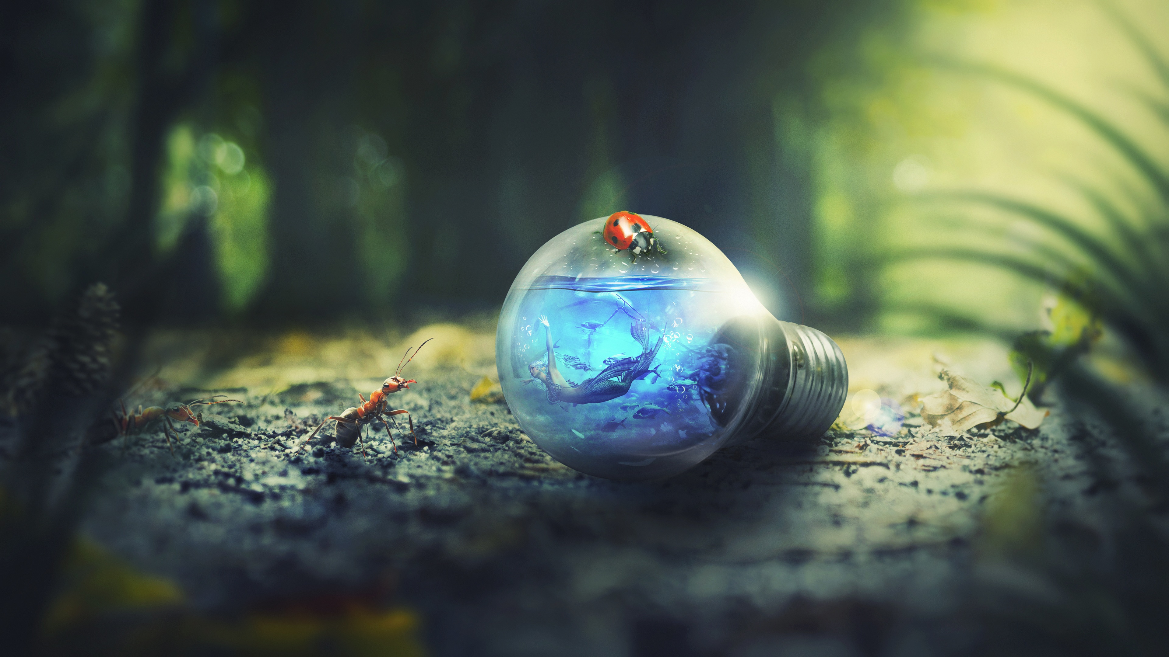 Light Bulb Nature Forest Ants Photoshop, HD Photography, 4k Wallpapers