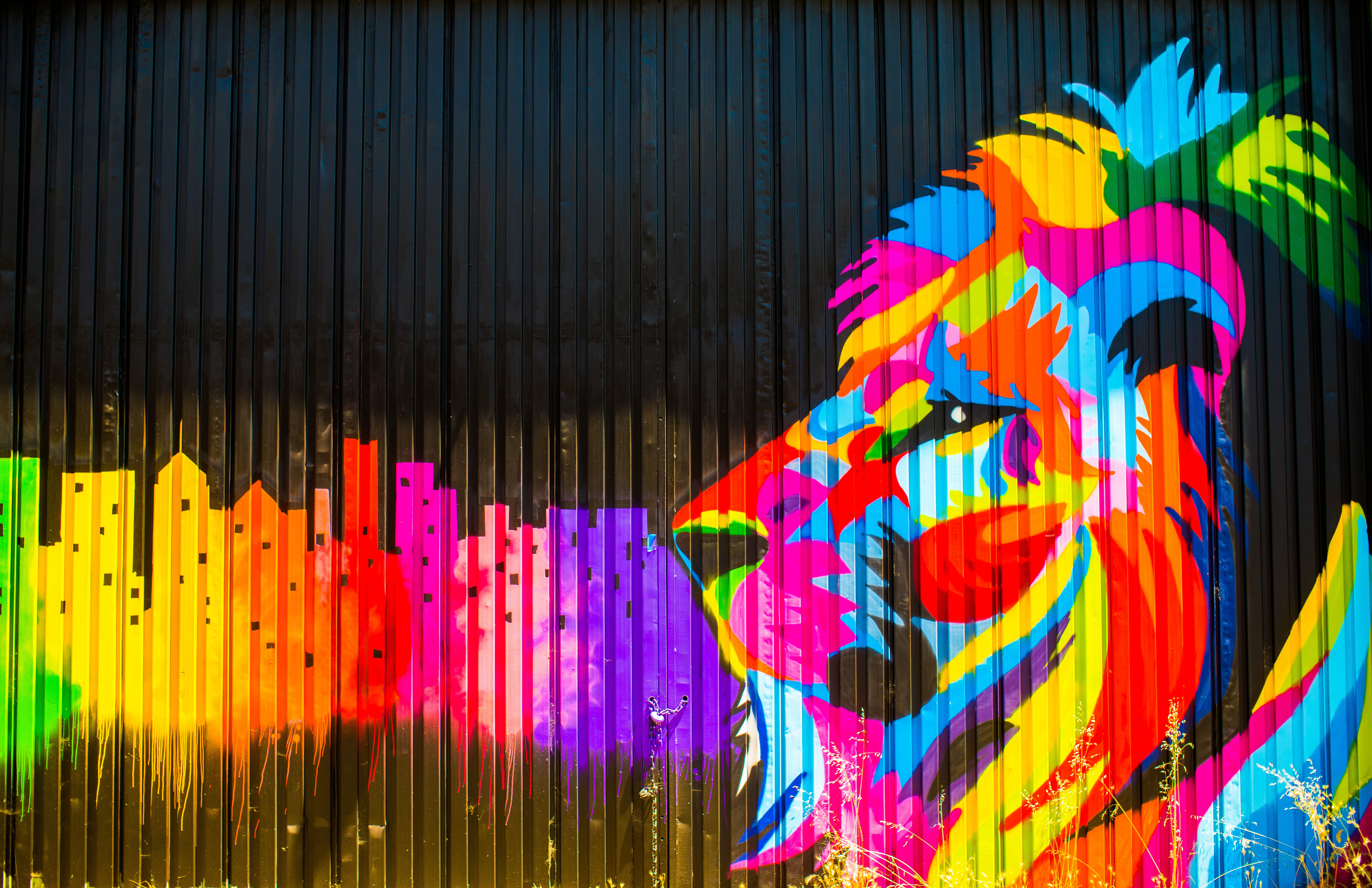 Lion Graffiti 5k HD Artist 4k Wallpapers Images Backgrounds