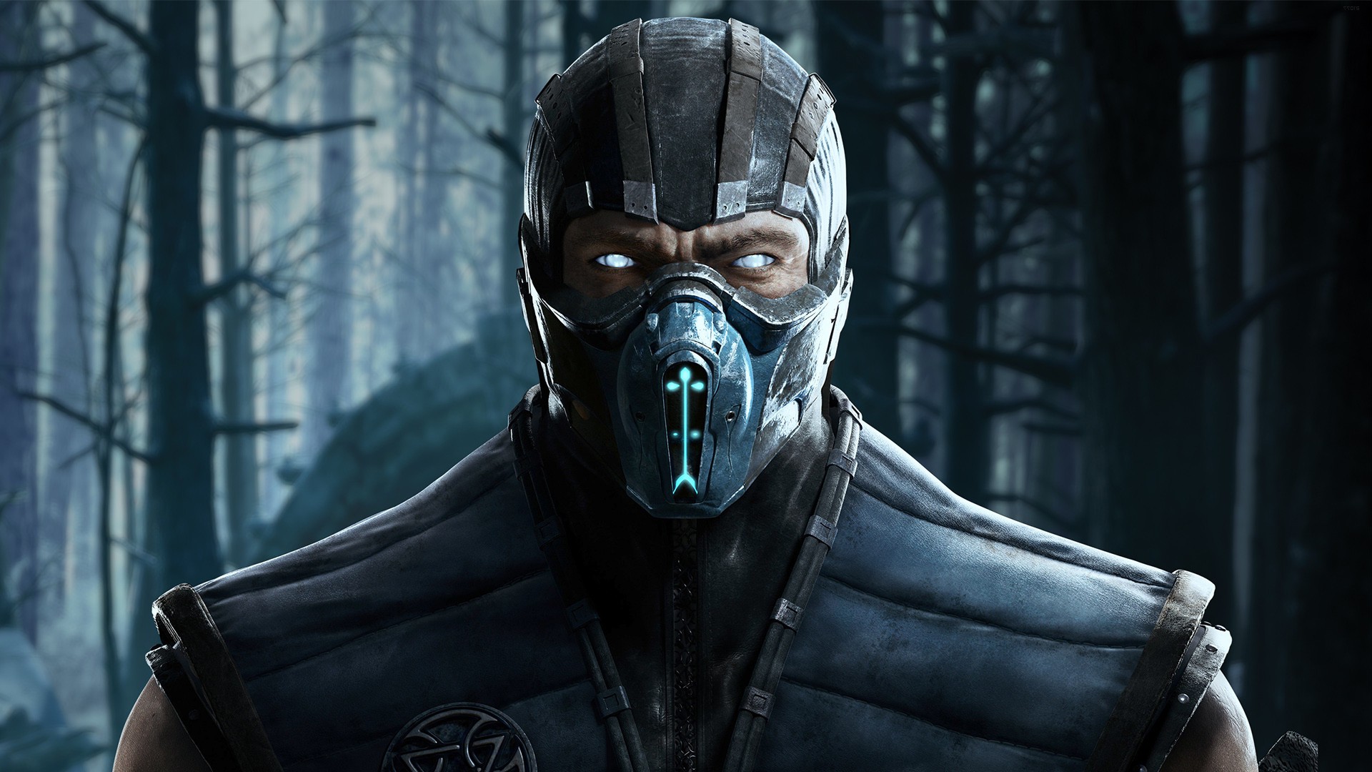 Mortal Kombat X Sub Zero Hd Games 4k Wallpapers Images Backgrounds