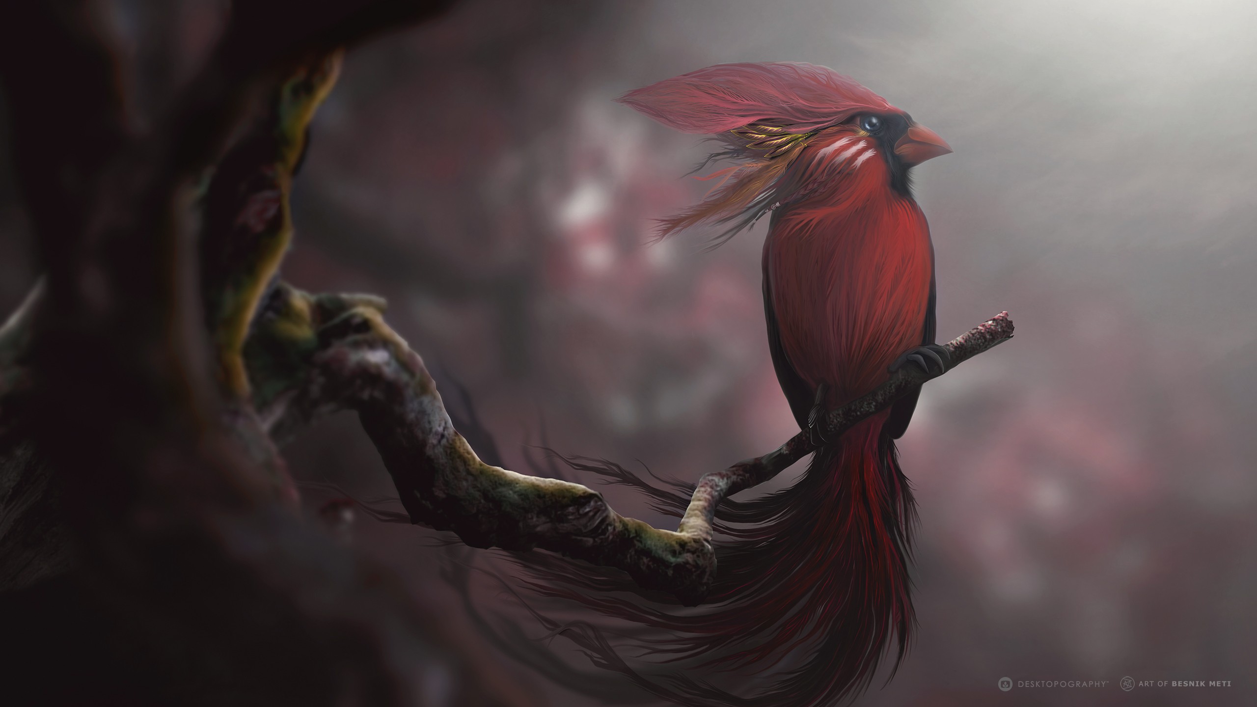 Red Bird Digital Art, HD Birds, 4k Wallpapers, Images, Backgrounds