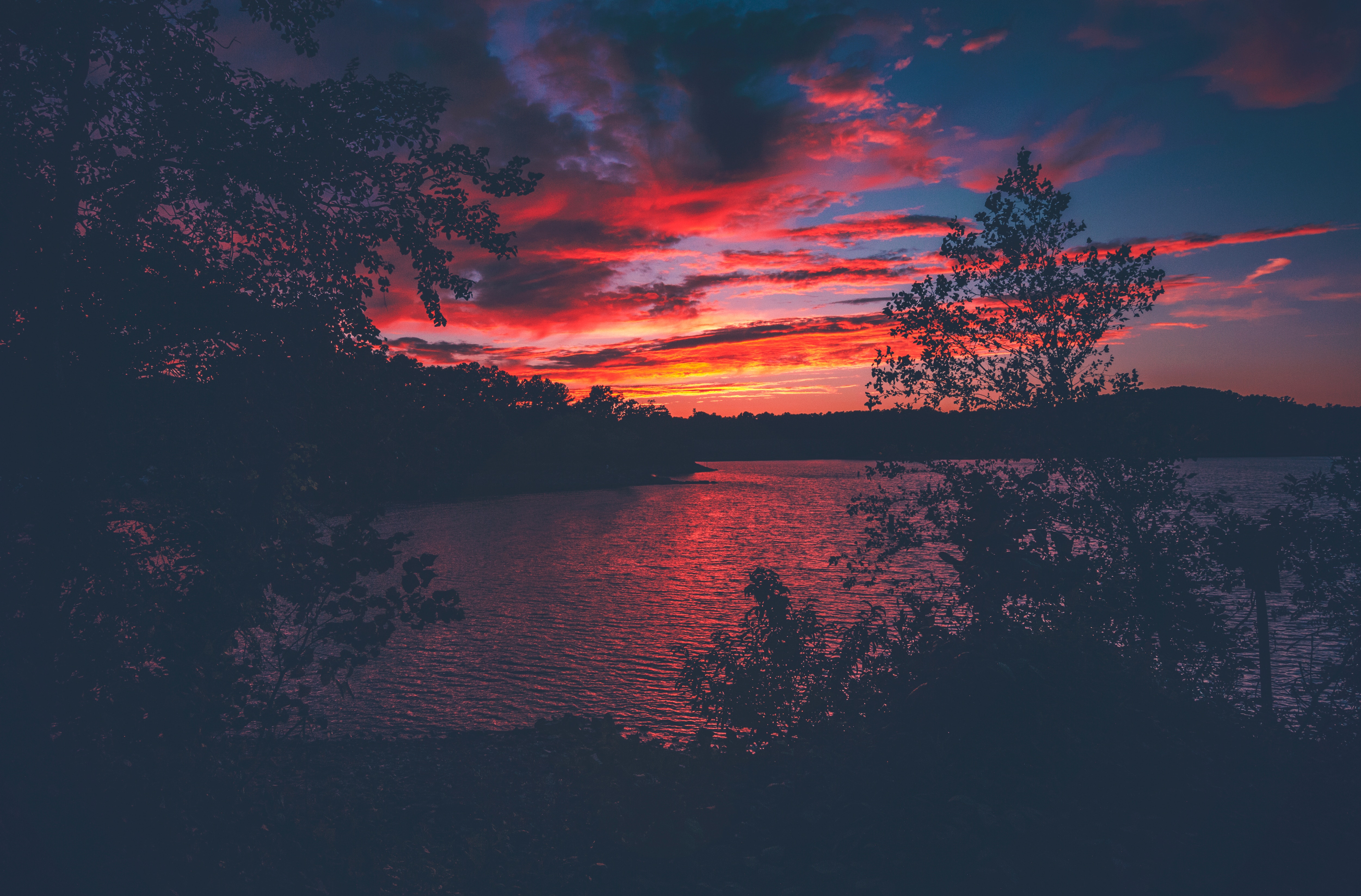 Red Evening Sunset Lake View From Forest Woods, HD Nature, 4k