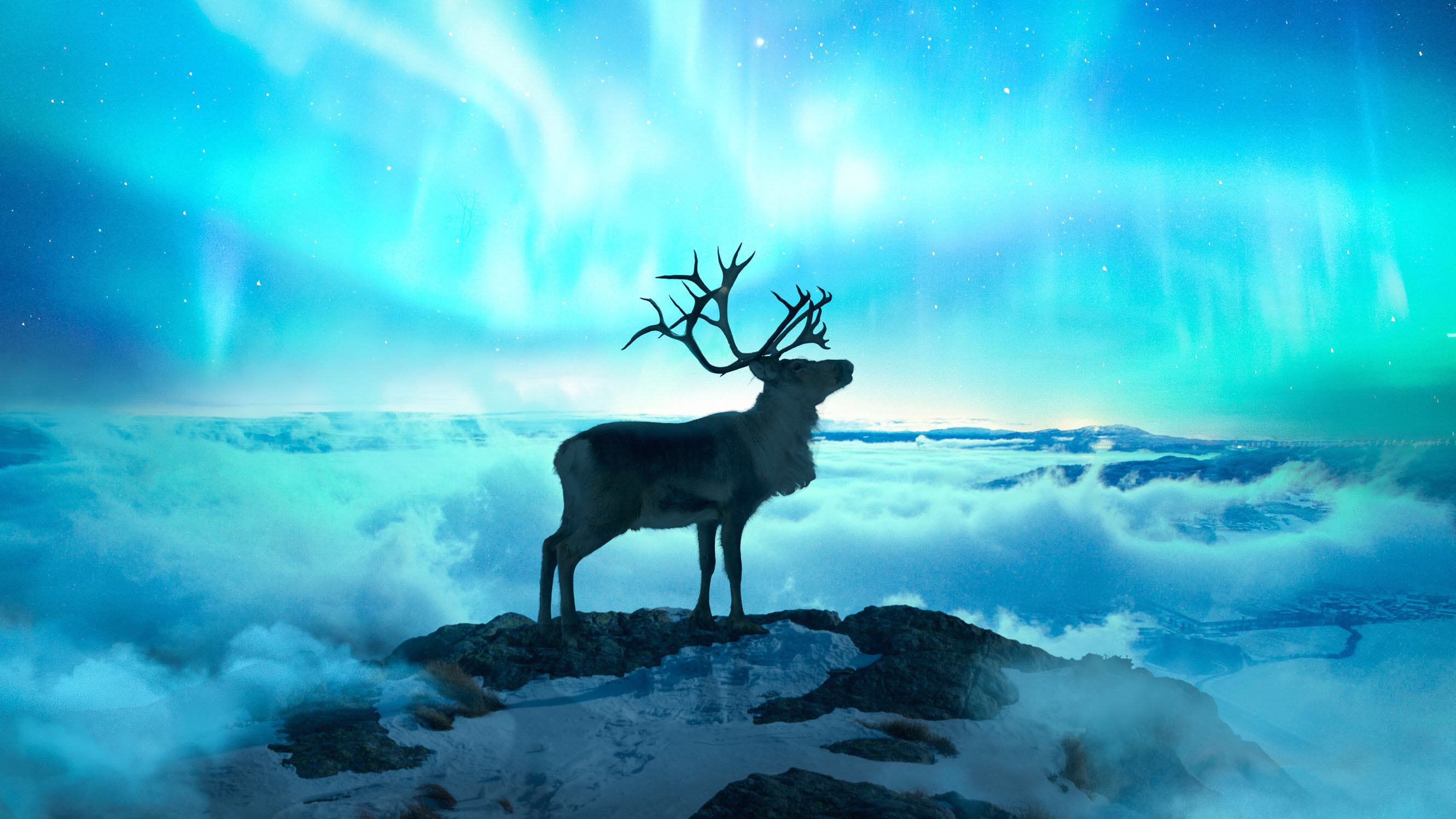 1920x1200 Reindeer Fantasy Art 1080P Resolution HD 4k Wallpapers