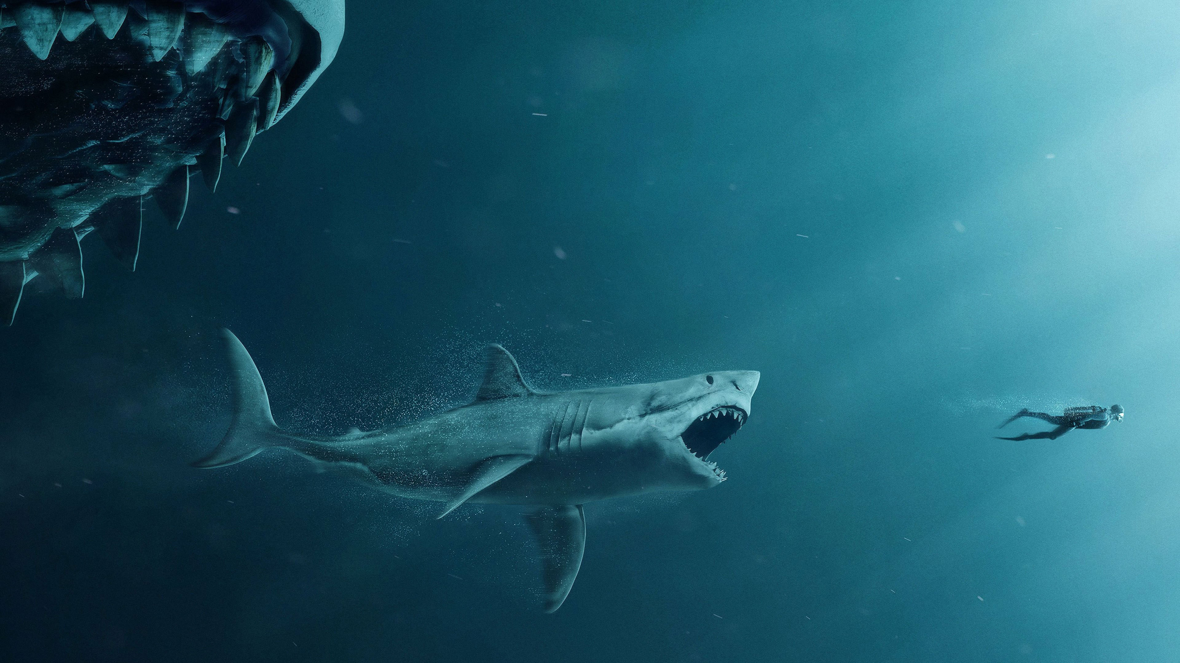 The Meg Movie 4k, HD Movies, 4k Wallpapers, Images ...
