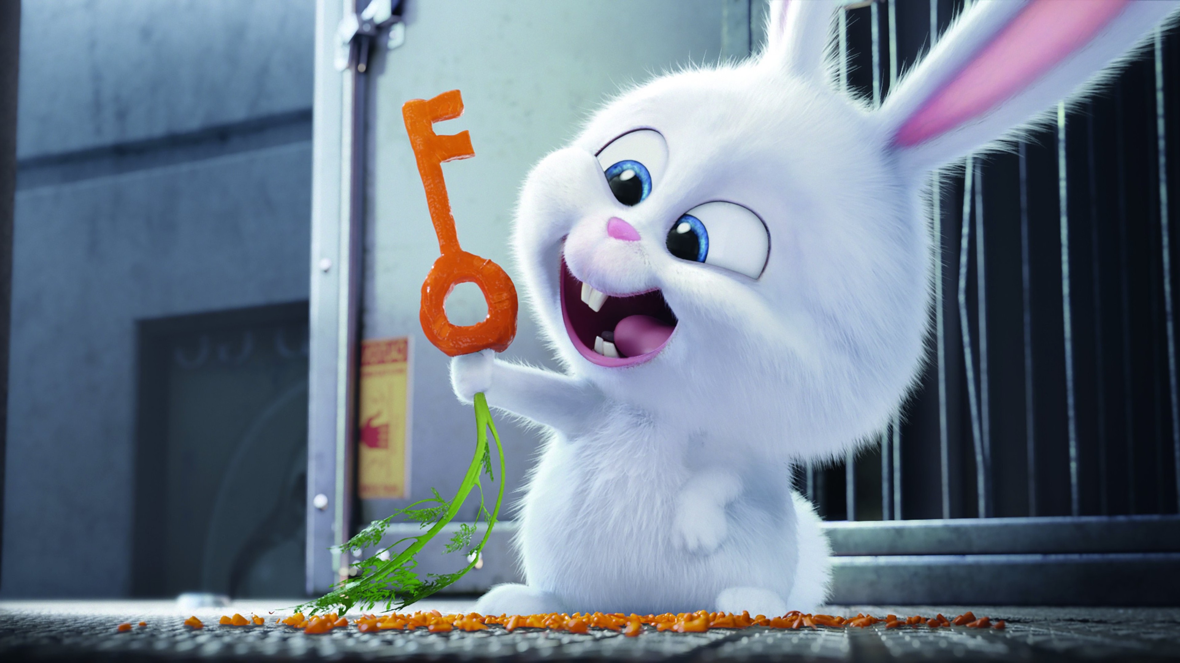 The Secrete Life of Pets Bunny, HD Movies, 4k Wallpapers, Images