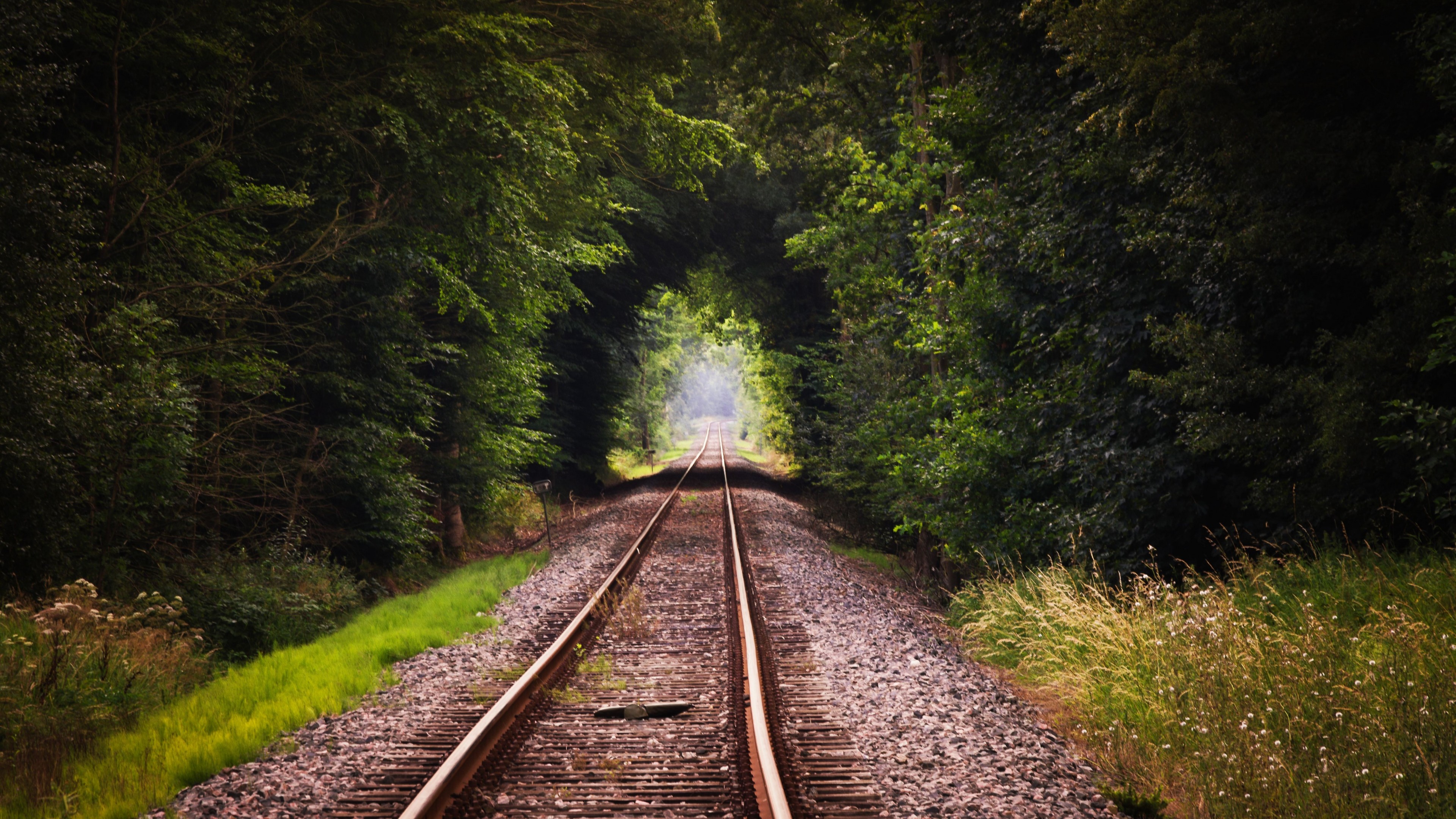 Train Track, HD Nature, 4k Wallpapers, Images, Backgrounds, Photos and