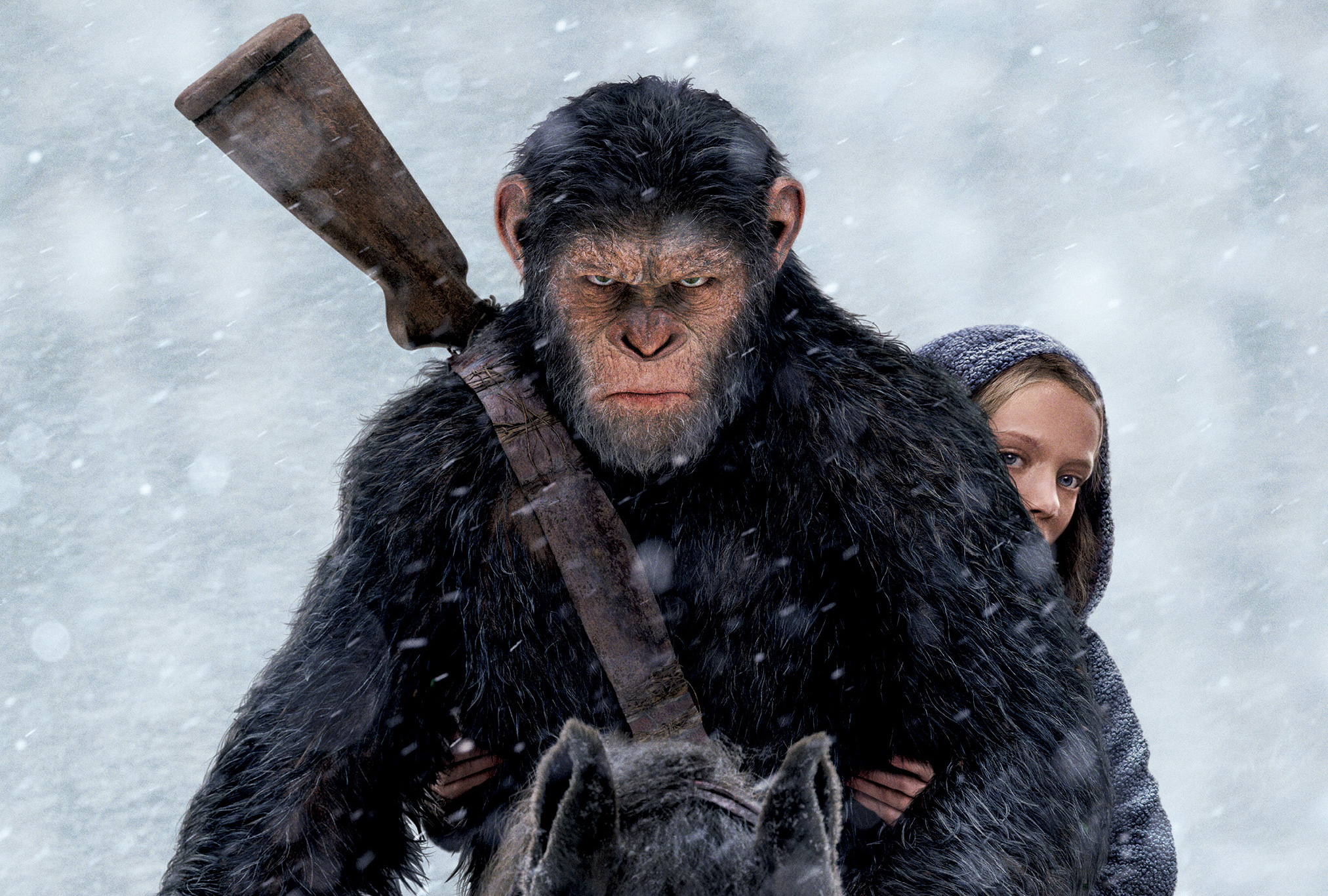 War Of The Planet Of The Apes Free Online War For The Planet Of The Apes 2017, HD Movies, 4k Wallpapers, Images