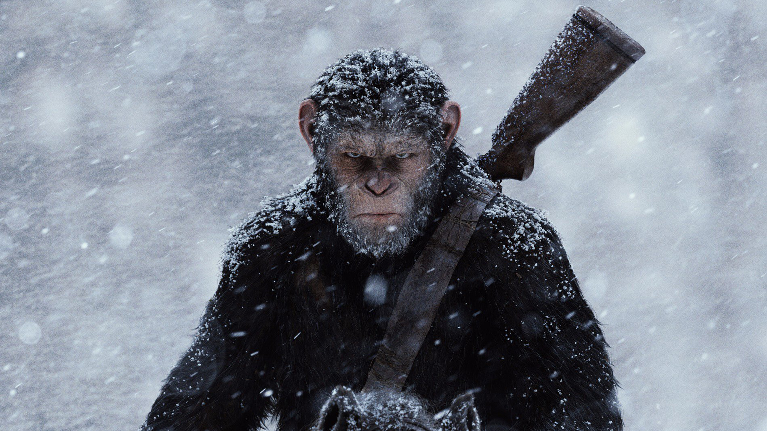 Image result for war for the planet of the apes official movie wallpaper 2017