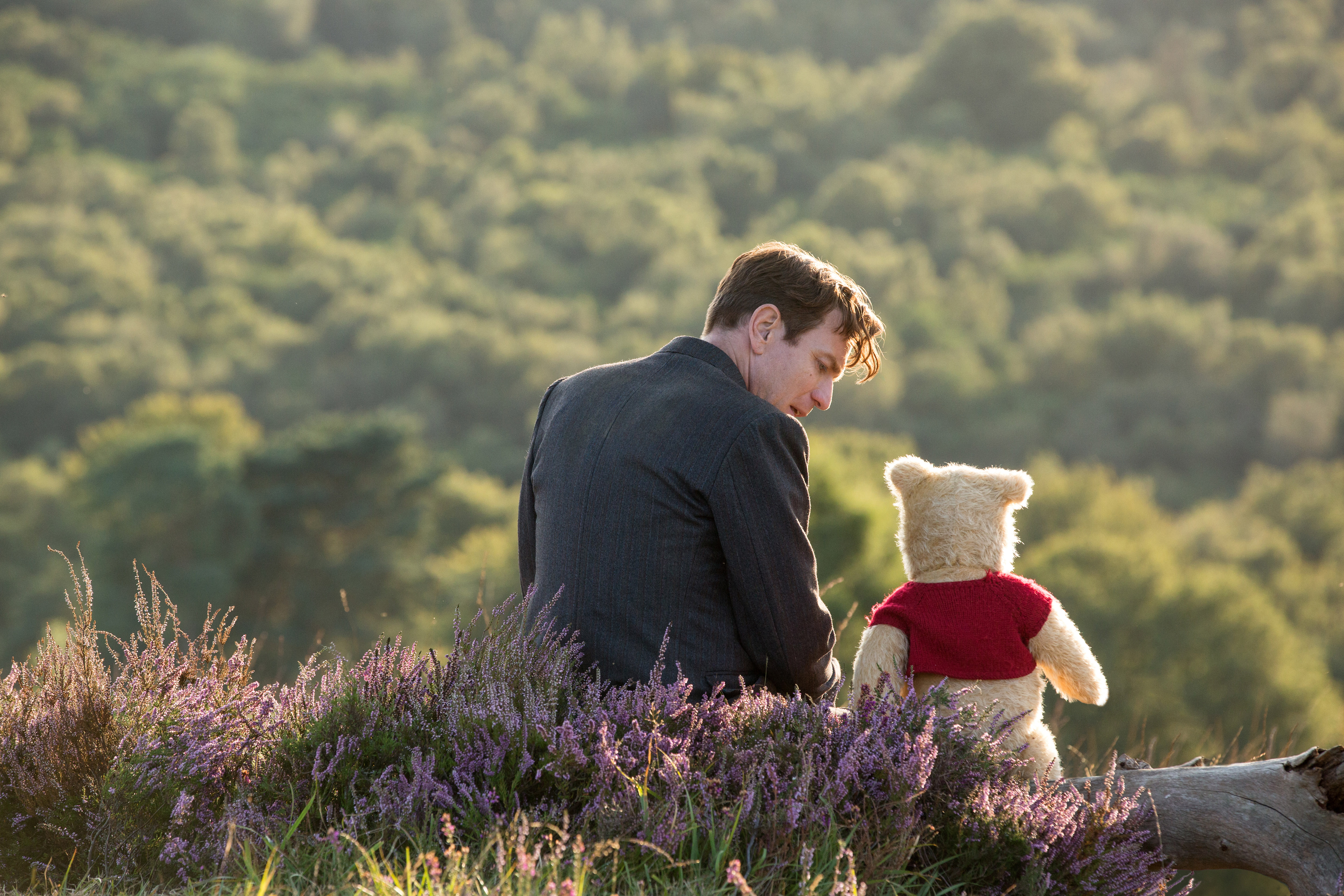 christopher robin winnie the pooh teddy bear