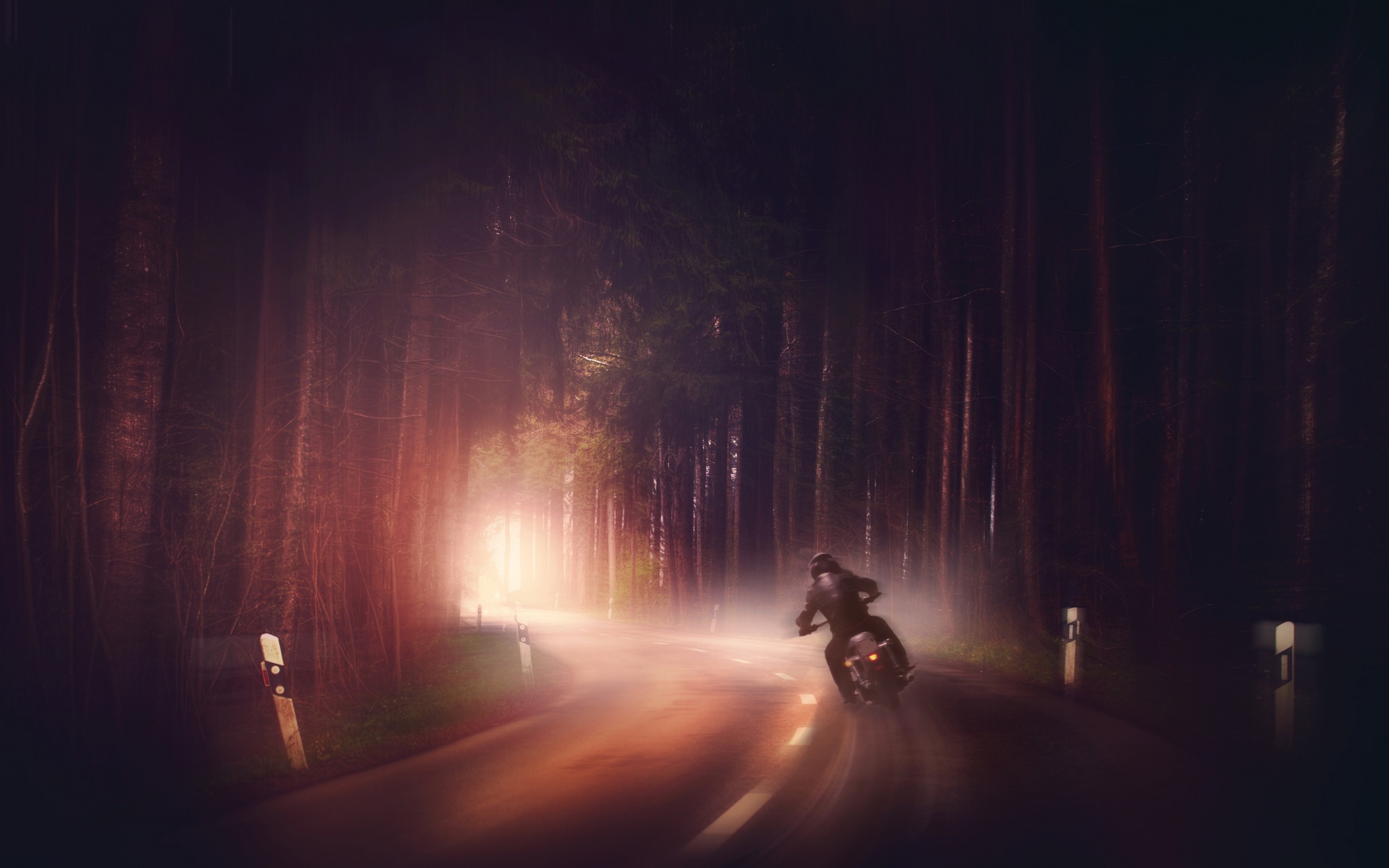 Мотоциклист мчащийся по лесу бесплатно
