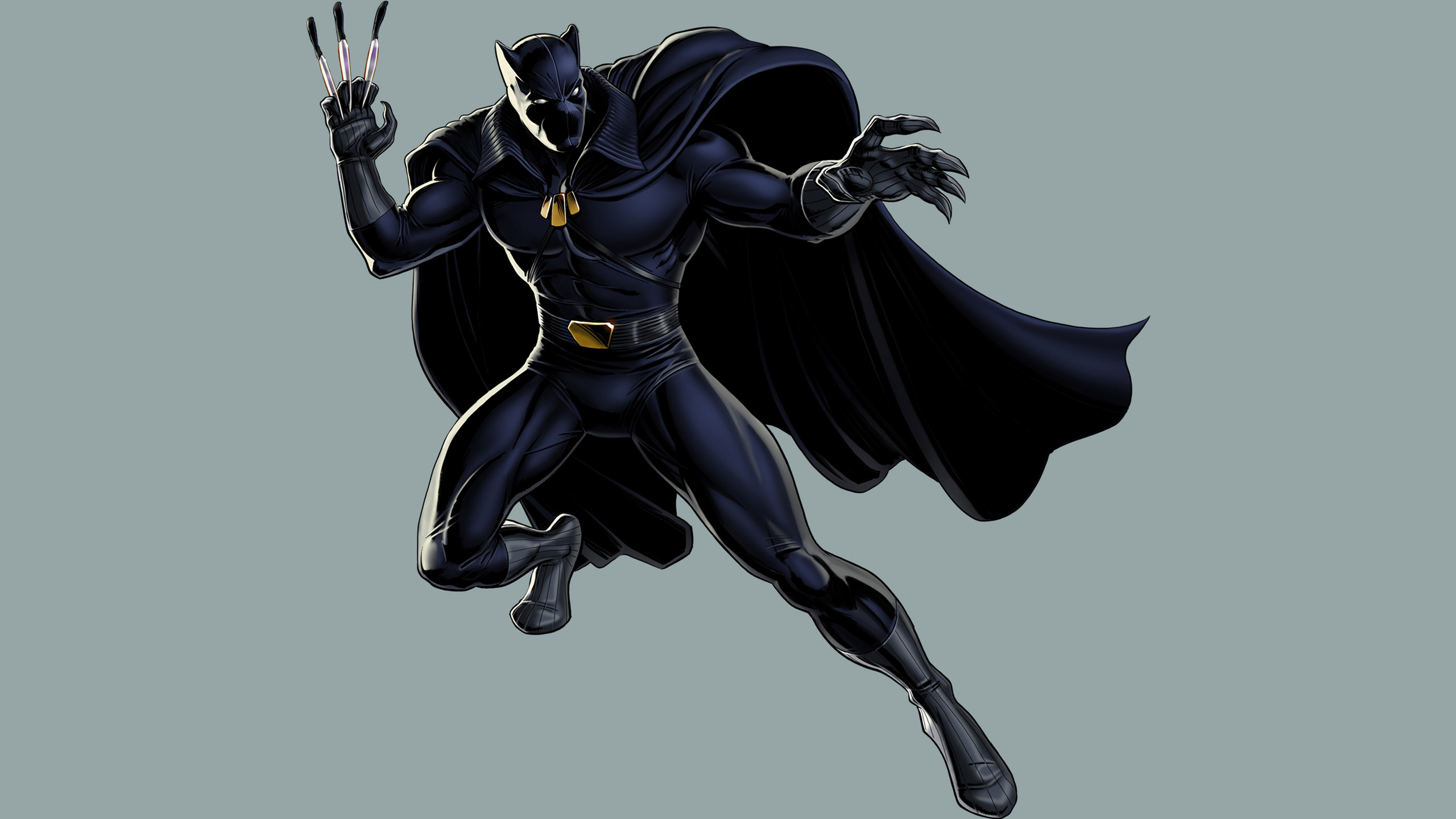 2560x1440 Black Panther Fictional Superhero 2 1440P Resolution HD
