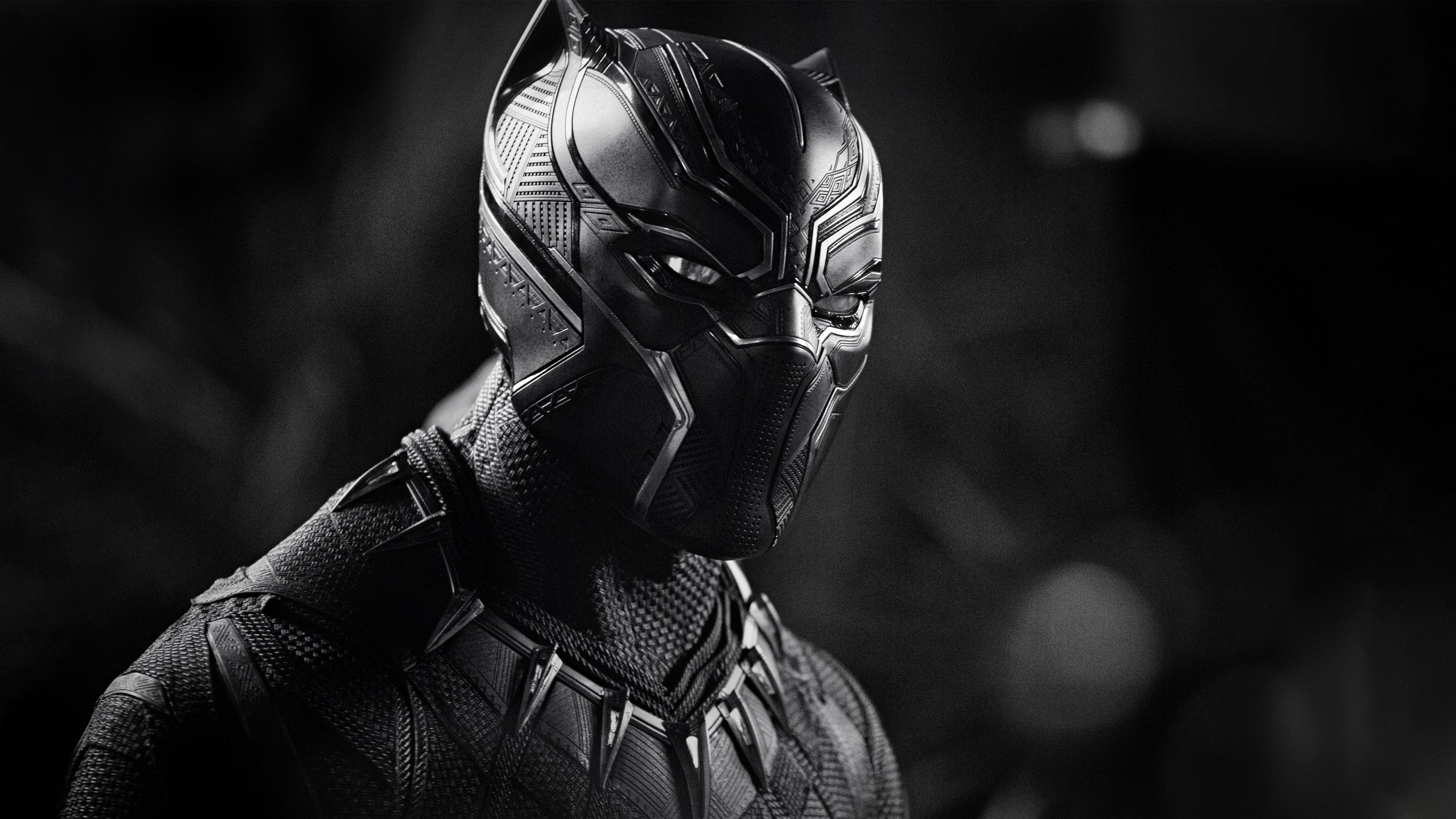 3840x2160 Black Panther Monochrome 4k 4k HD 4k Wallpapers, Images