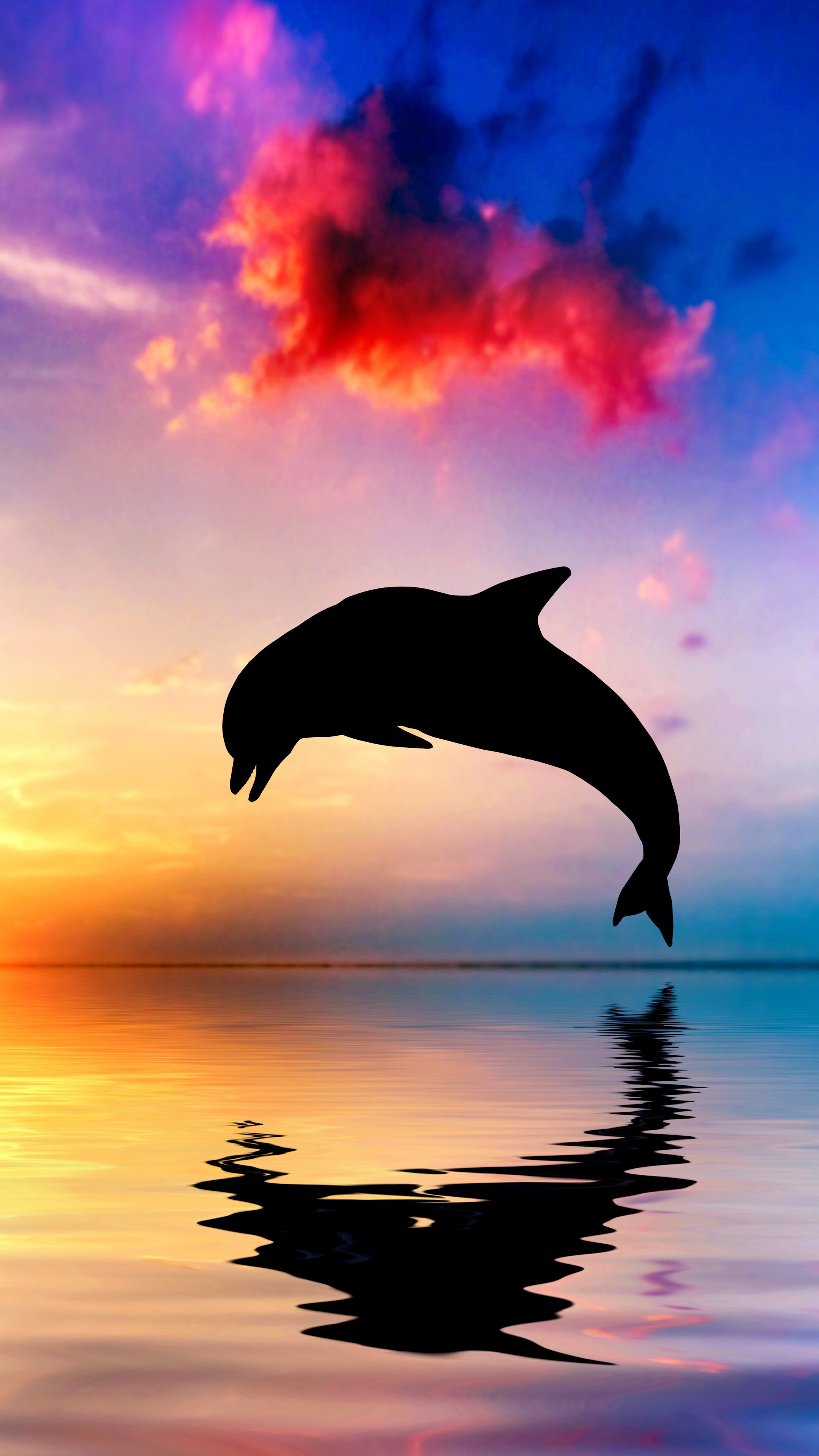2160x3840 Dolphin Jumping Out Of Water Sunset View 4k Sony Xperia X,XZ