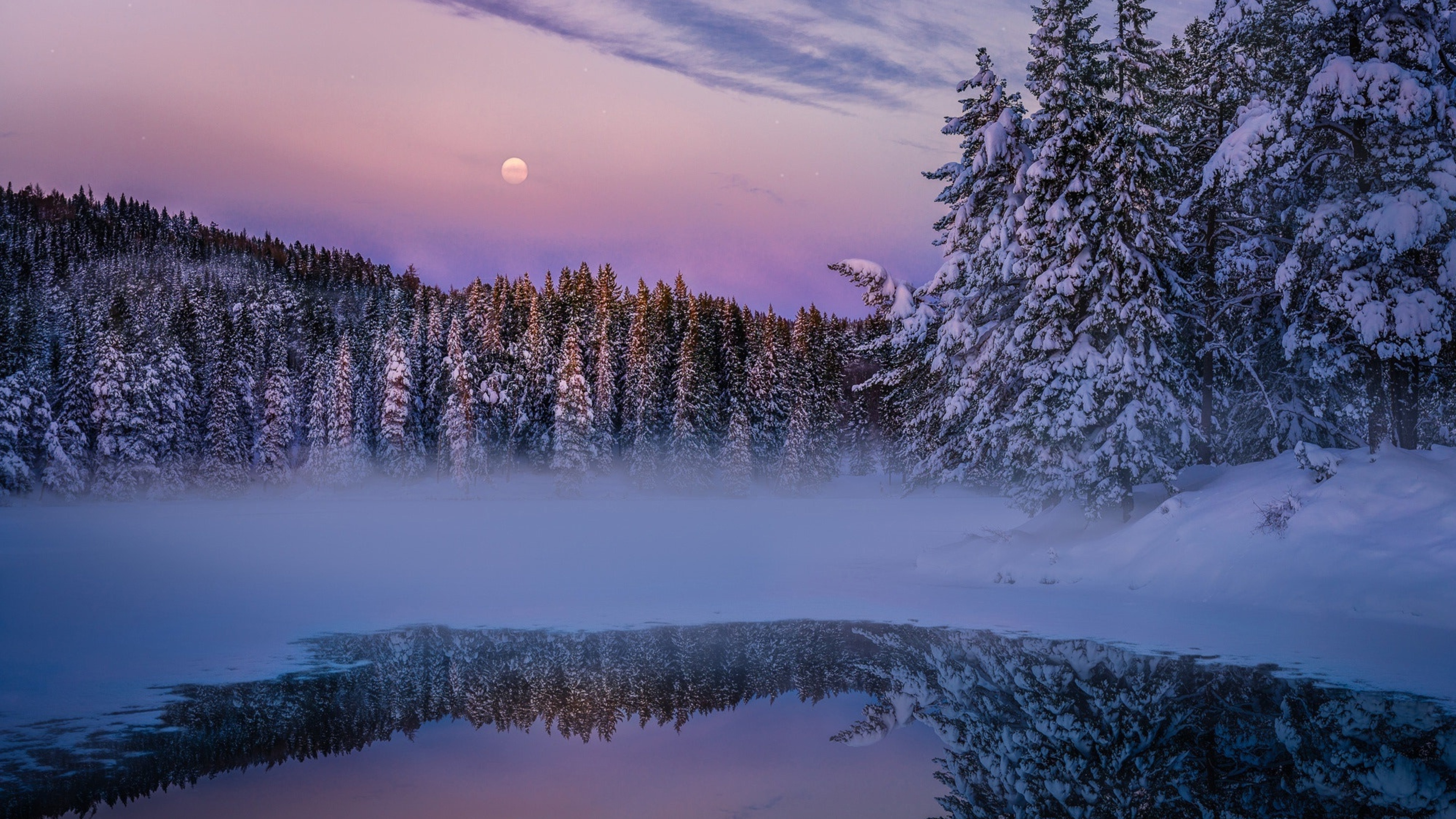природа озеро отражение лес деревья снег зима загрузить