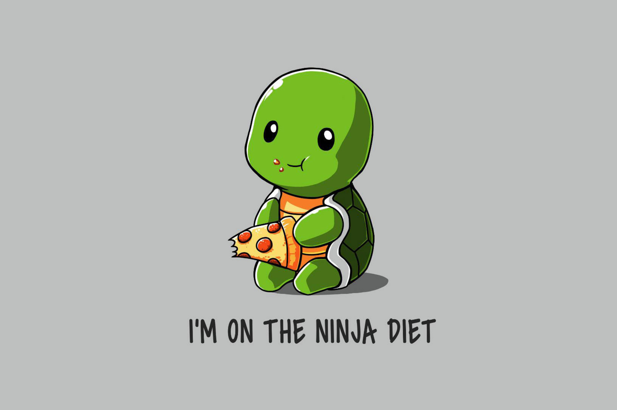 2560x1700 Funny Ninja On Diet Chromebook Pixel HD 4k ...