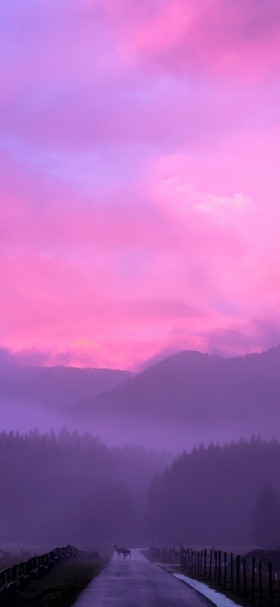 1125x2436 Misty Pink  Sunset Iphone  XS Iphone  10 Iphone  X 