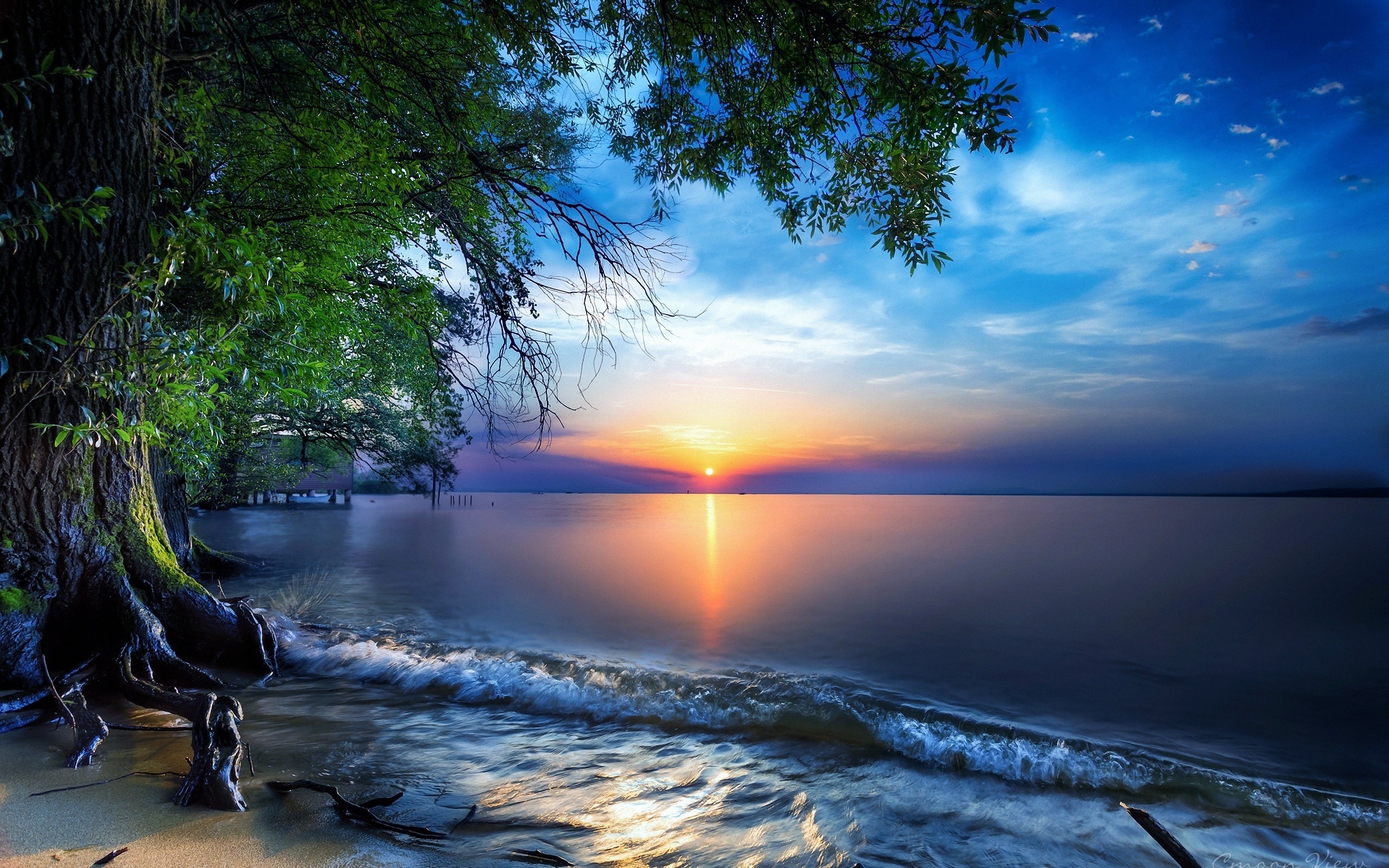 природа озеро солнце закат деревья без смс