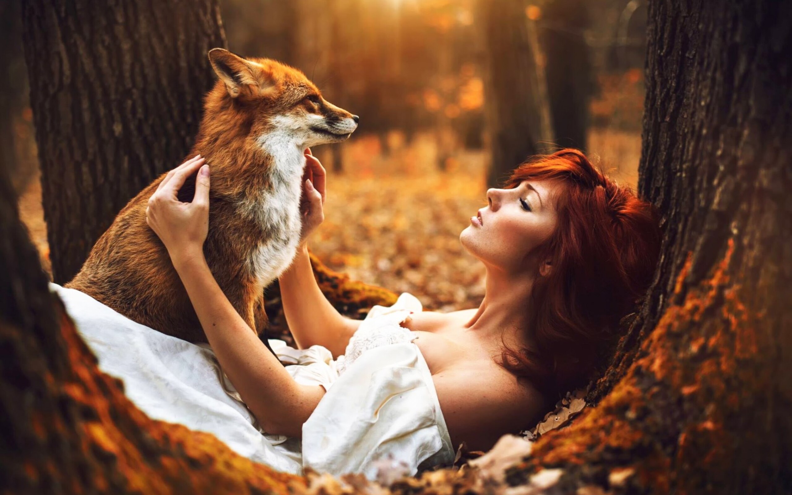 https://hdqwalls.com/download/redhead-girl-with-fox-qhd-2560x1600.jpg