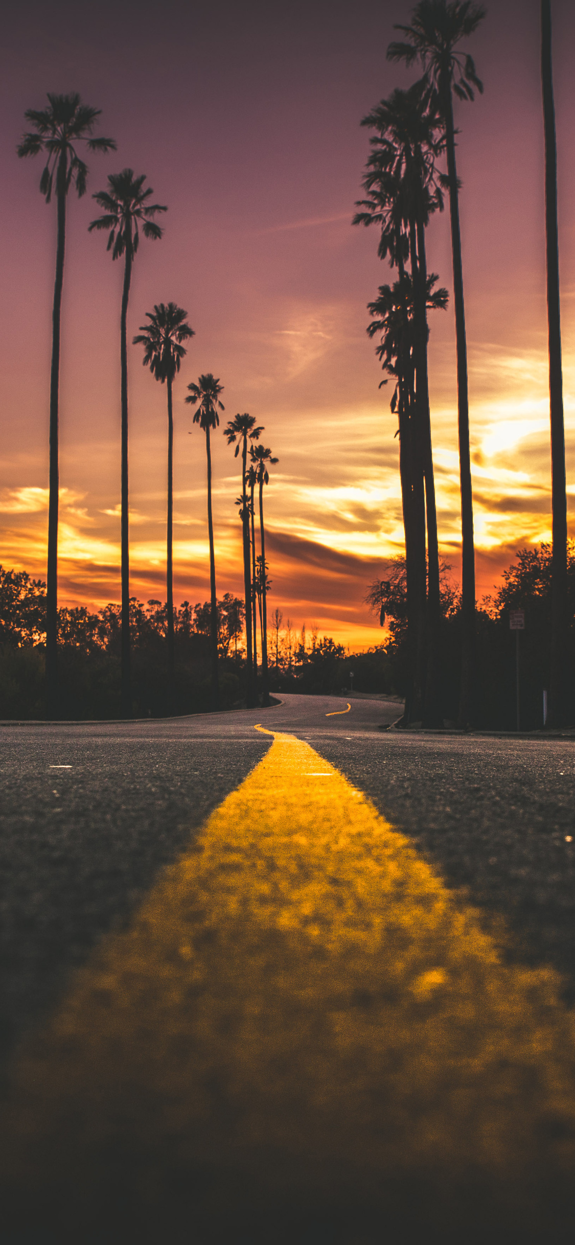 1125x2436 Road In City During Sunset Iphone XS,Iphone 10 ...