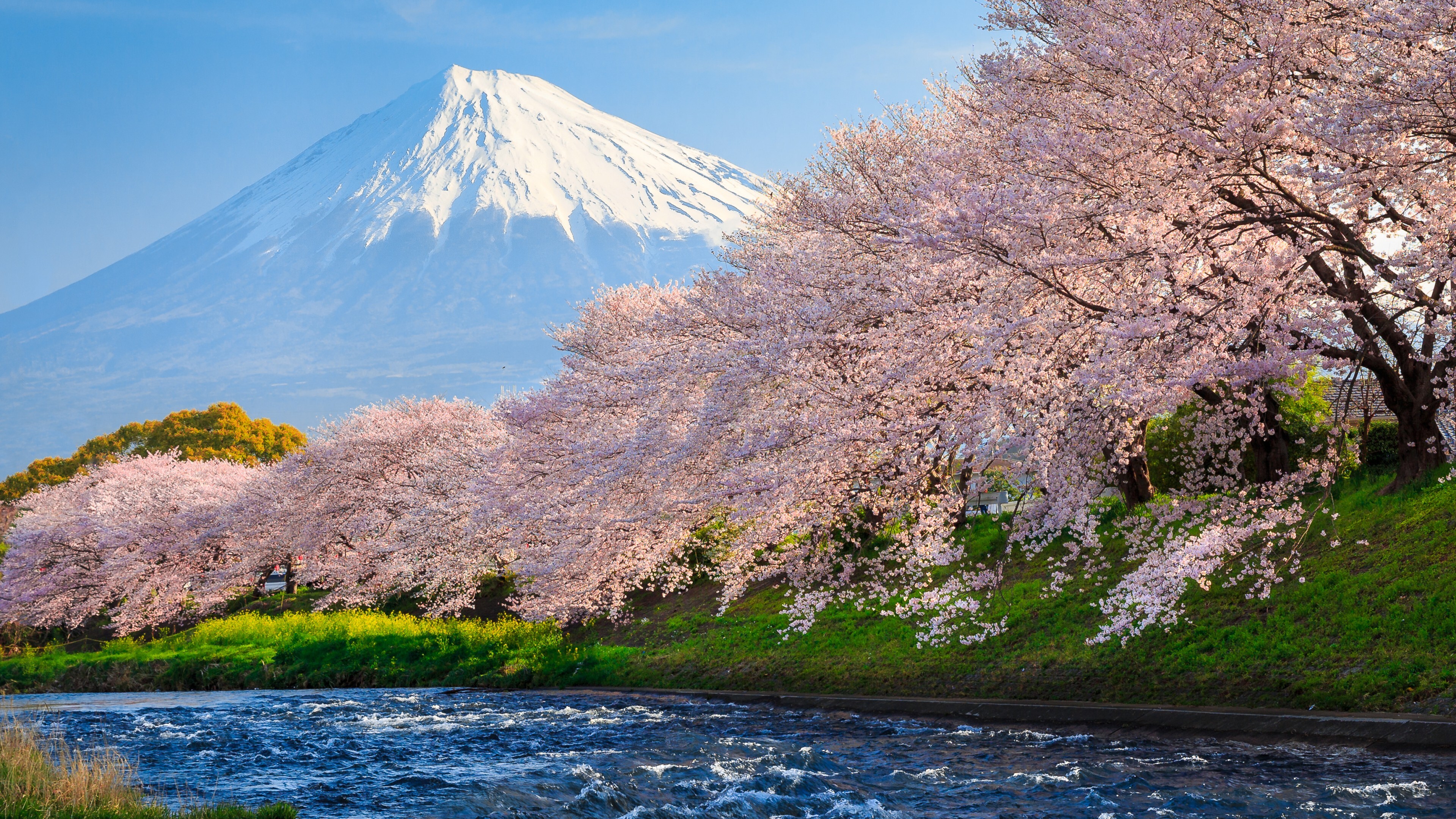природа графика япония река горы цветы деревья nature graphics Japan river mountains flowers trees бесплатно