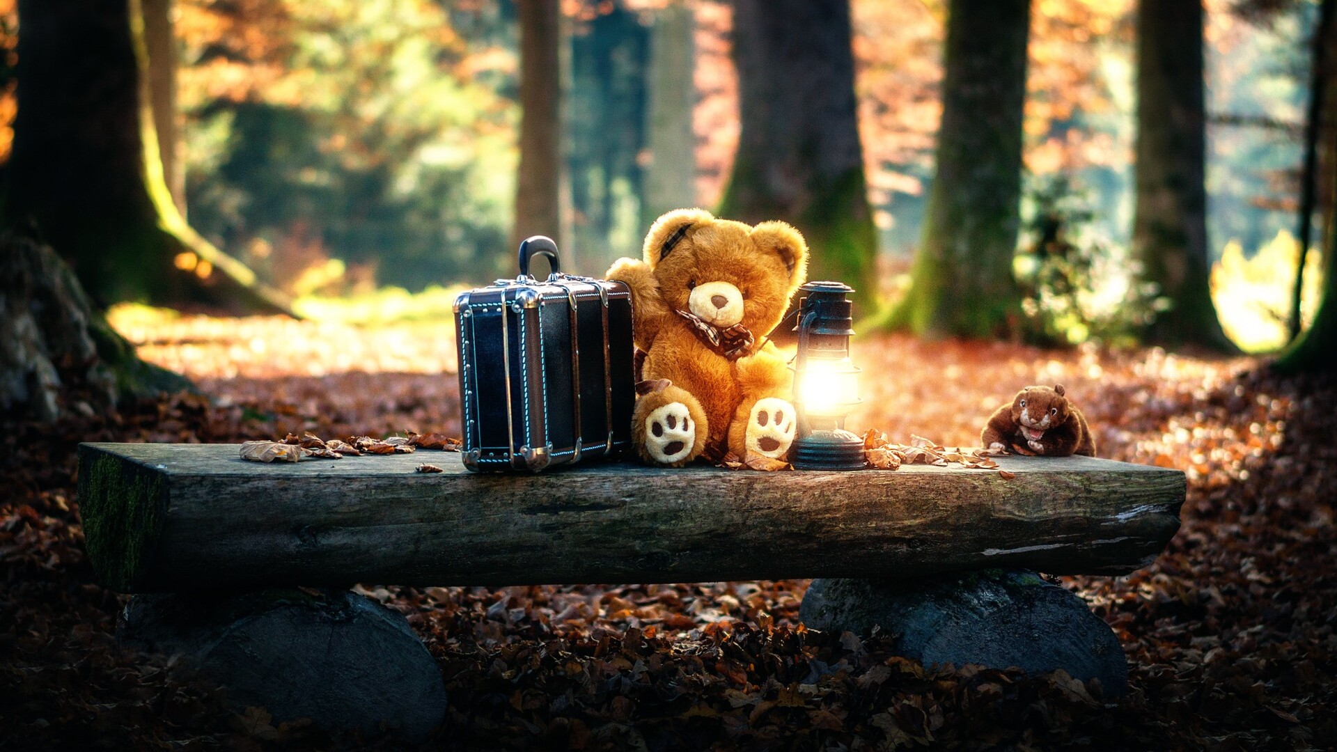 1920x1080 Teddy Bears Cute Alone in Forest Laptop Full HD ...