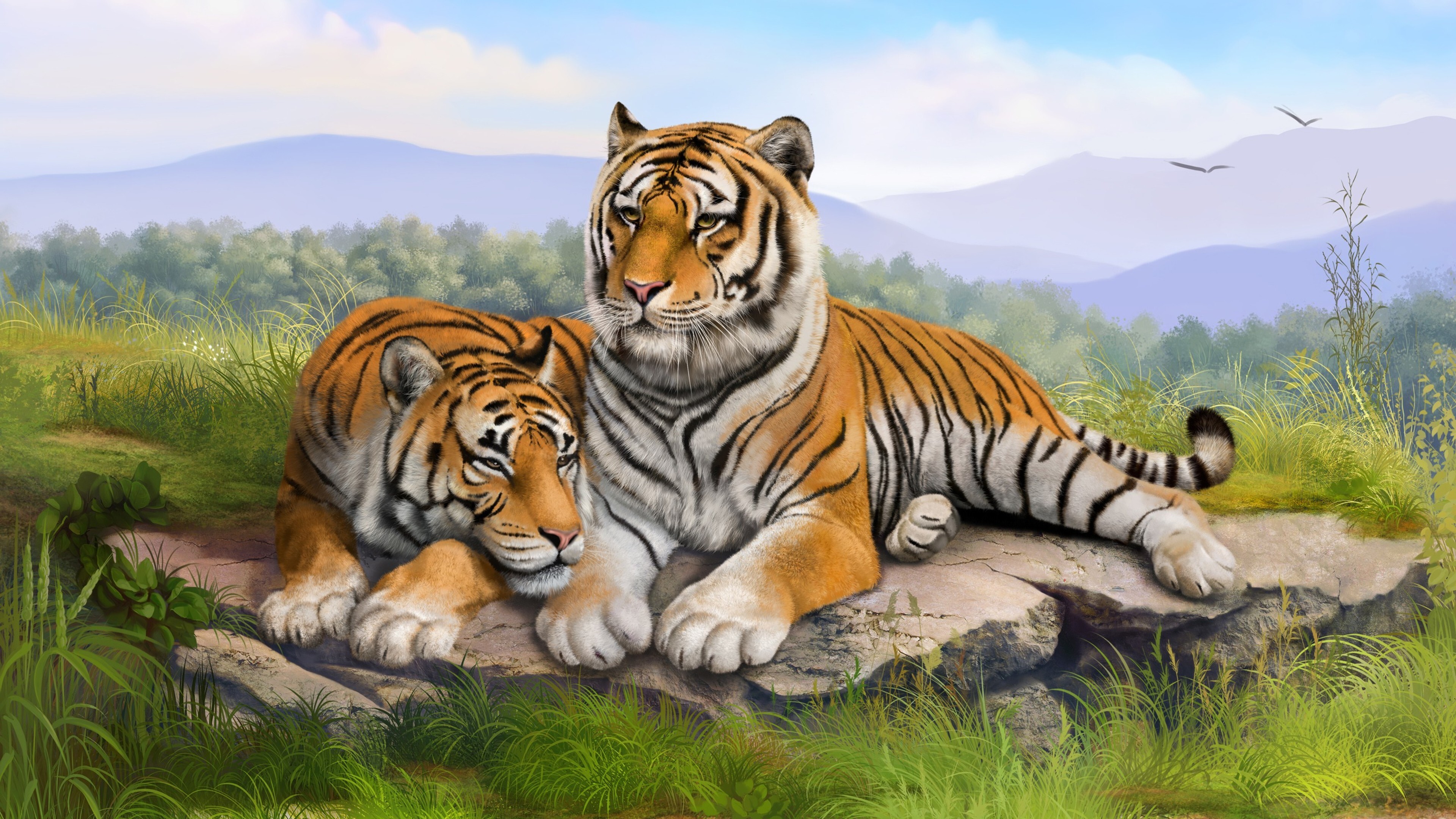 Влюбленные тигры загрузить