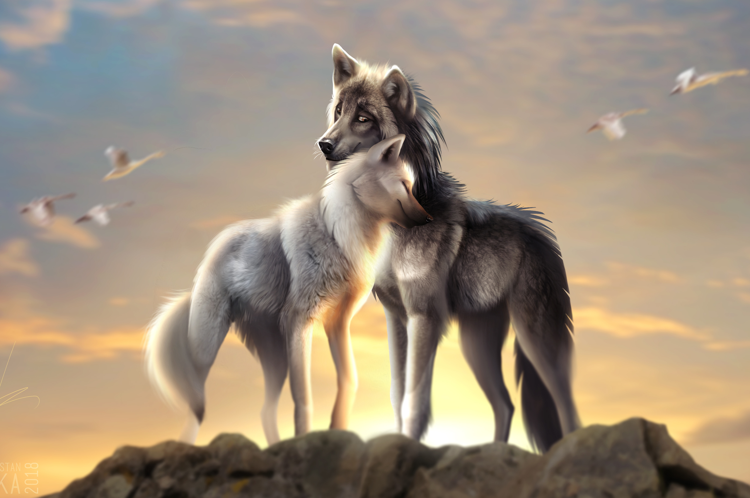 Featured image of post Galaxy Wolf Wallpapers For Chromebook Create your own wallpaper using one of the two methods listed below