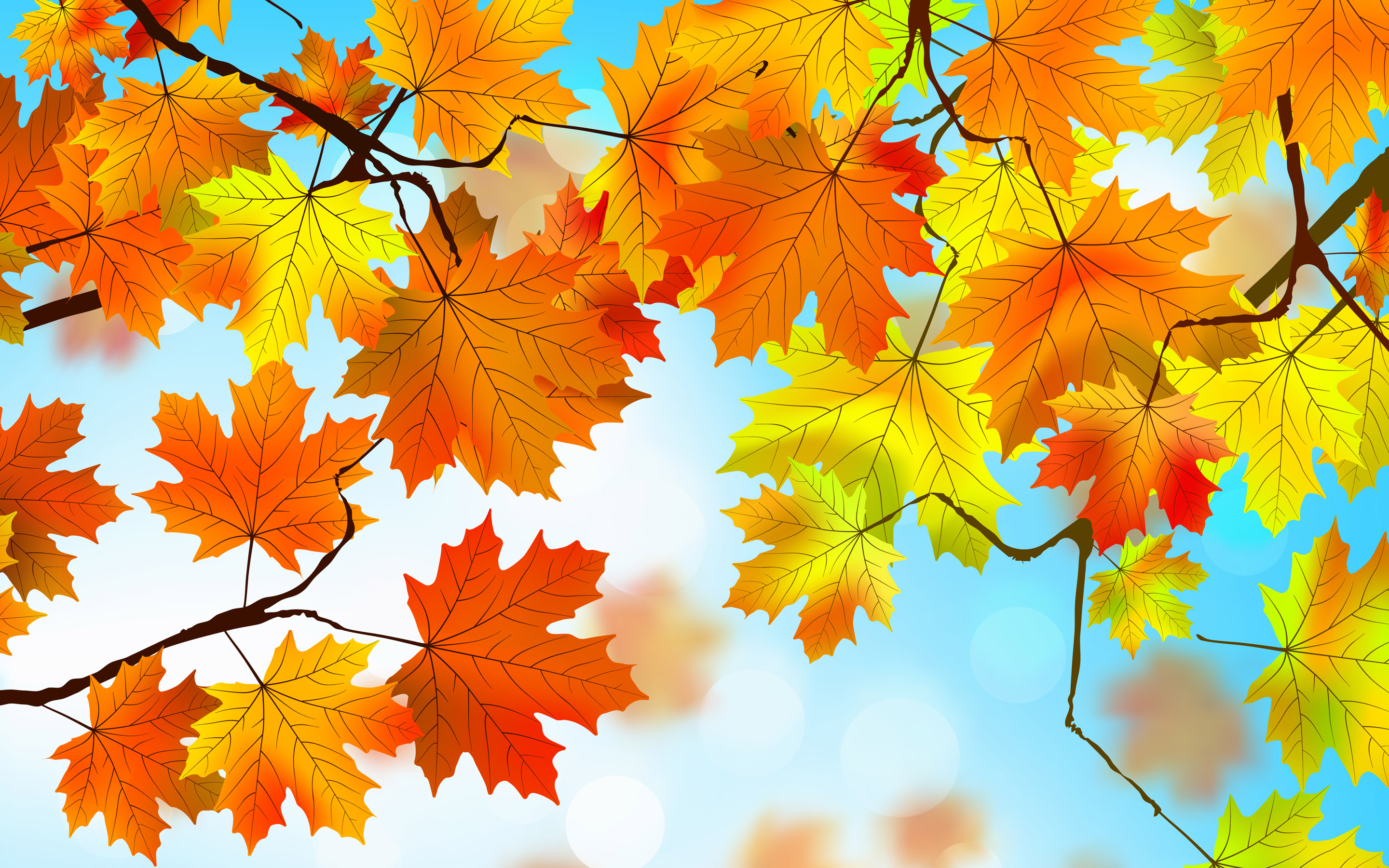Autumn Leaves HD, HD Nature, 4k Wallpapers, Images, Backgrounds, Photos