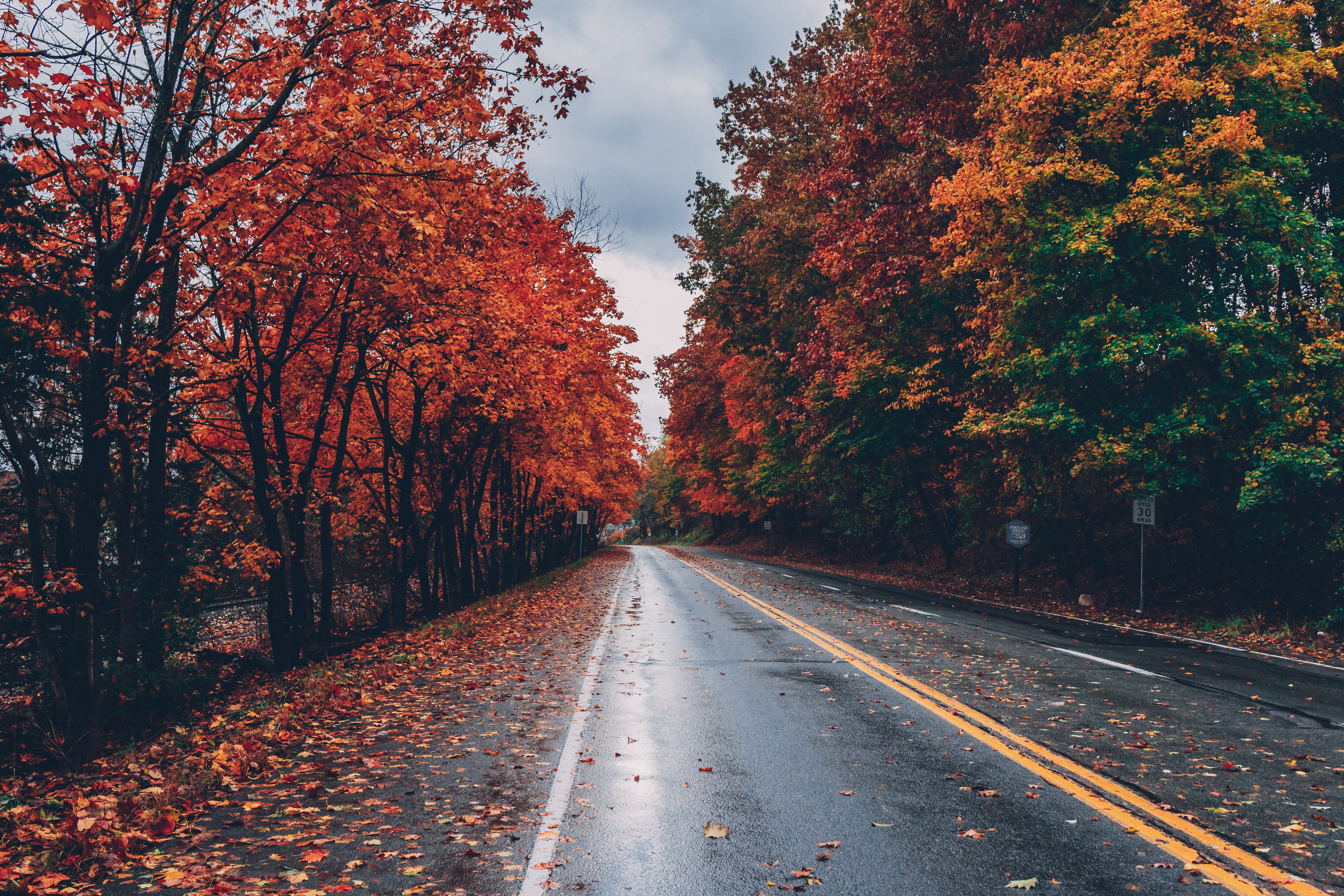 Autumn Road Trees On Sides Fallen Leaves, HD Nature, 4k ...