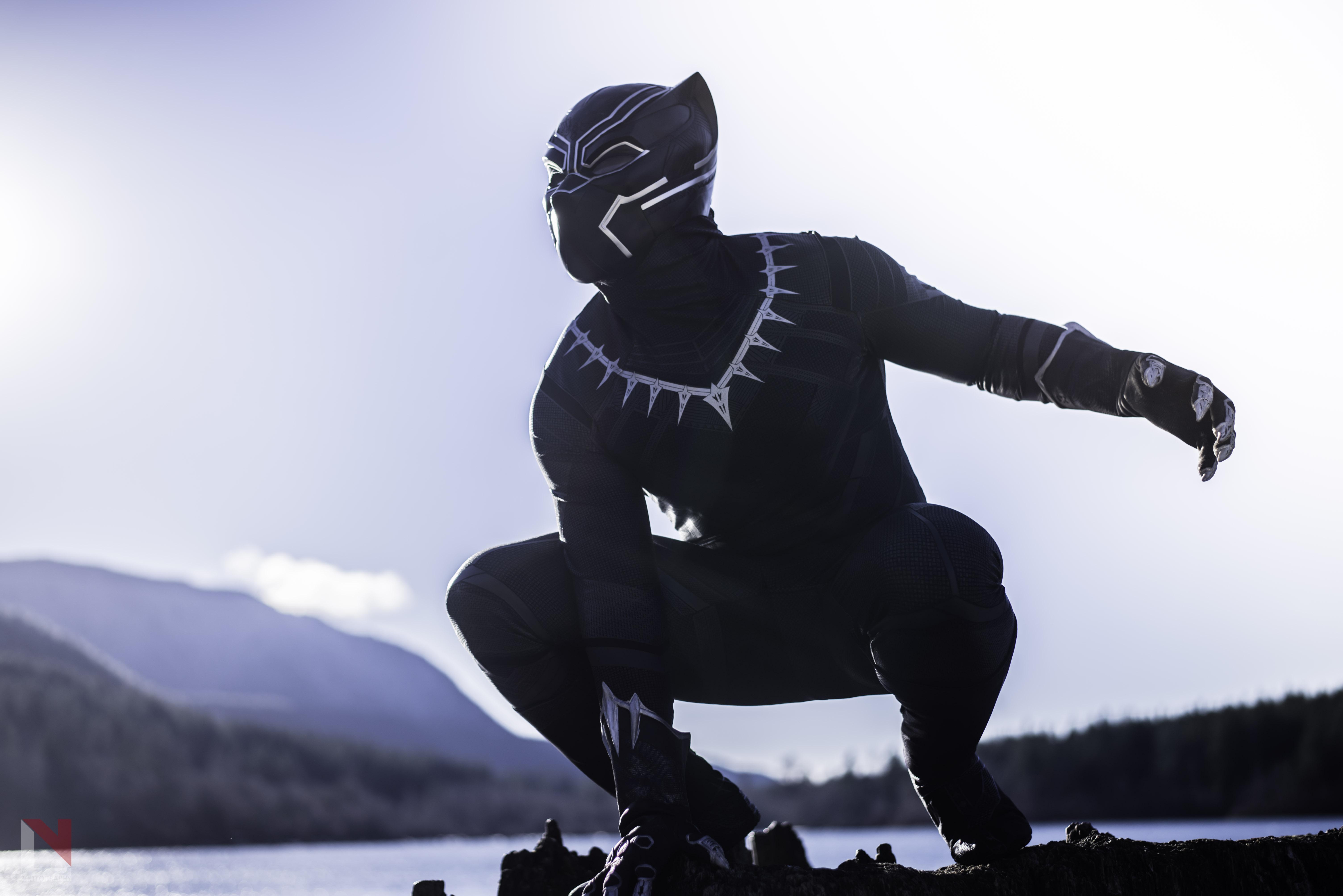 Black Panther: Wakanda Forever instal the new for windows