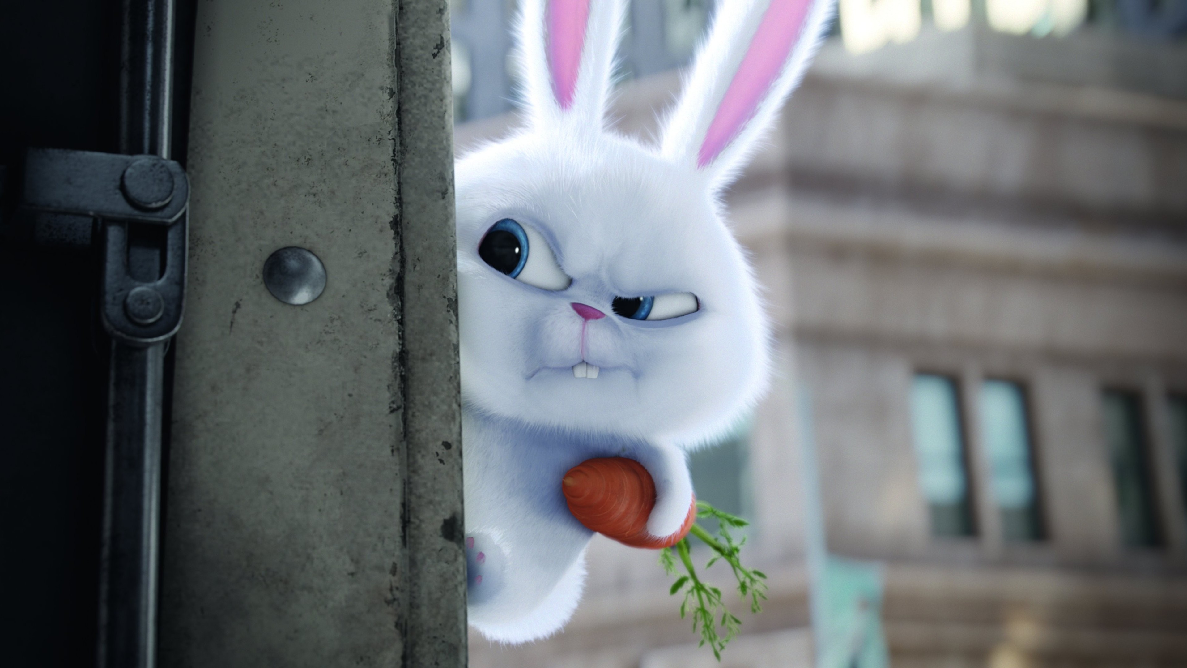 Bunny The Secrete Life Of Pets Movie Hd Movies 4k