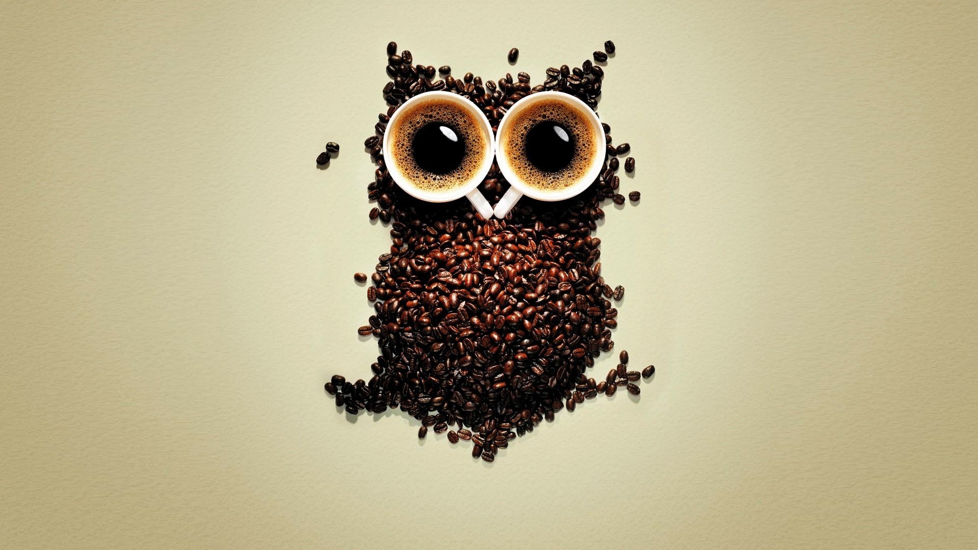 Coffee Beans Owl Art Hd Artist 4k Wallpapers Images Backgrounds