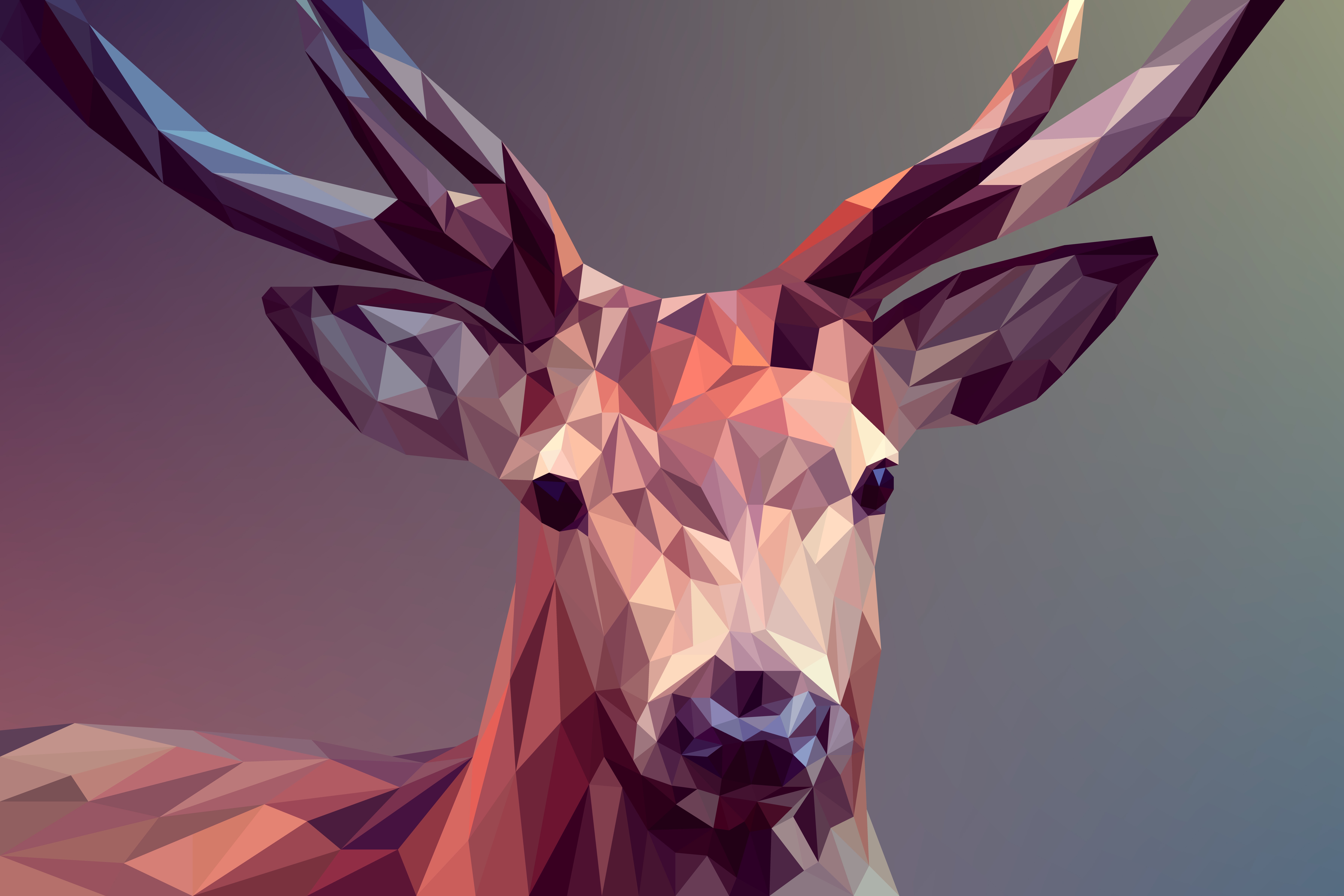 deer-polygon-art-8k-hd-artist-4k-wallpapers-images-backgrounds