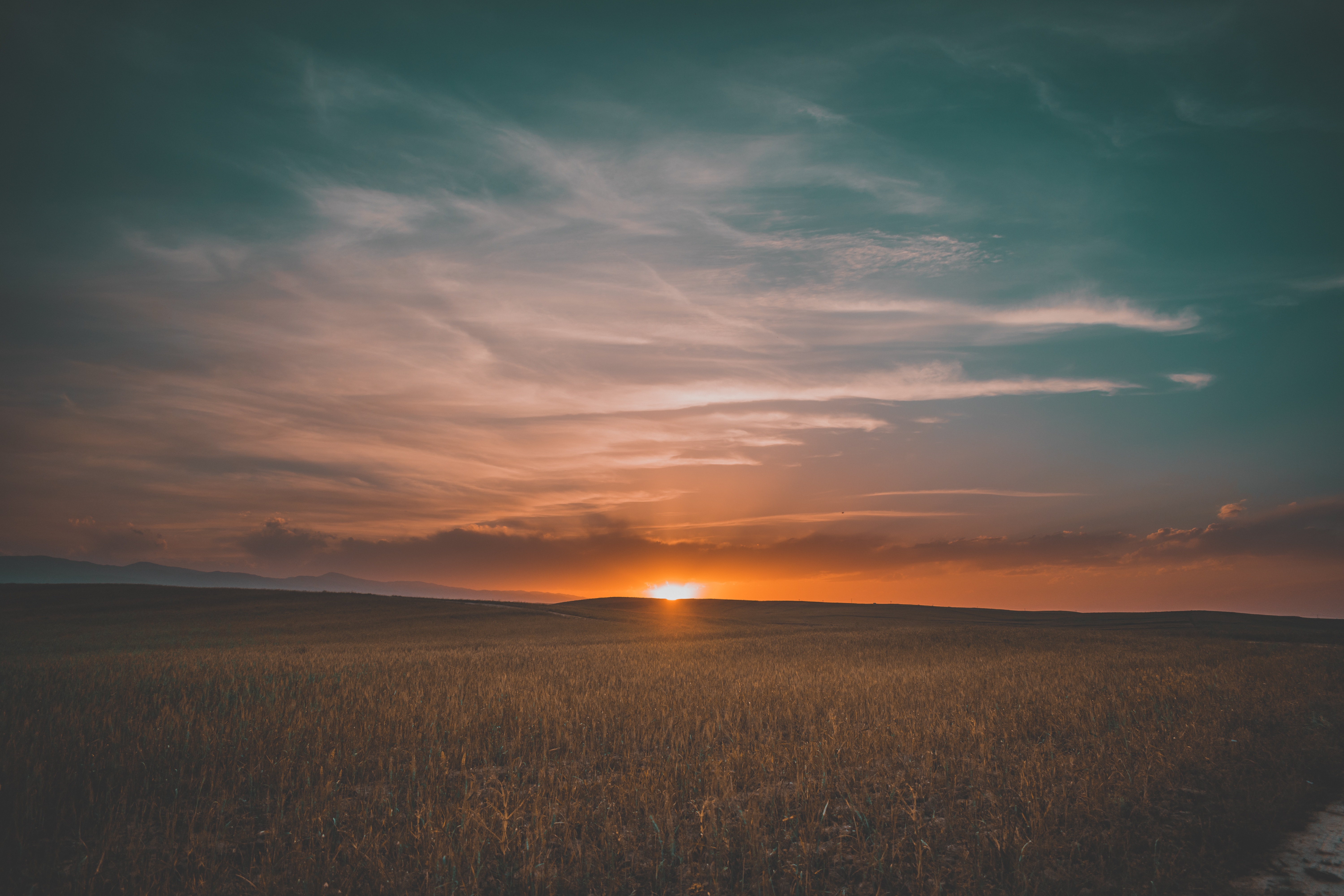 Field Sunrise 5k, HD Nature, 4k Wallpapers, Images, Backgrounds, Photos